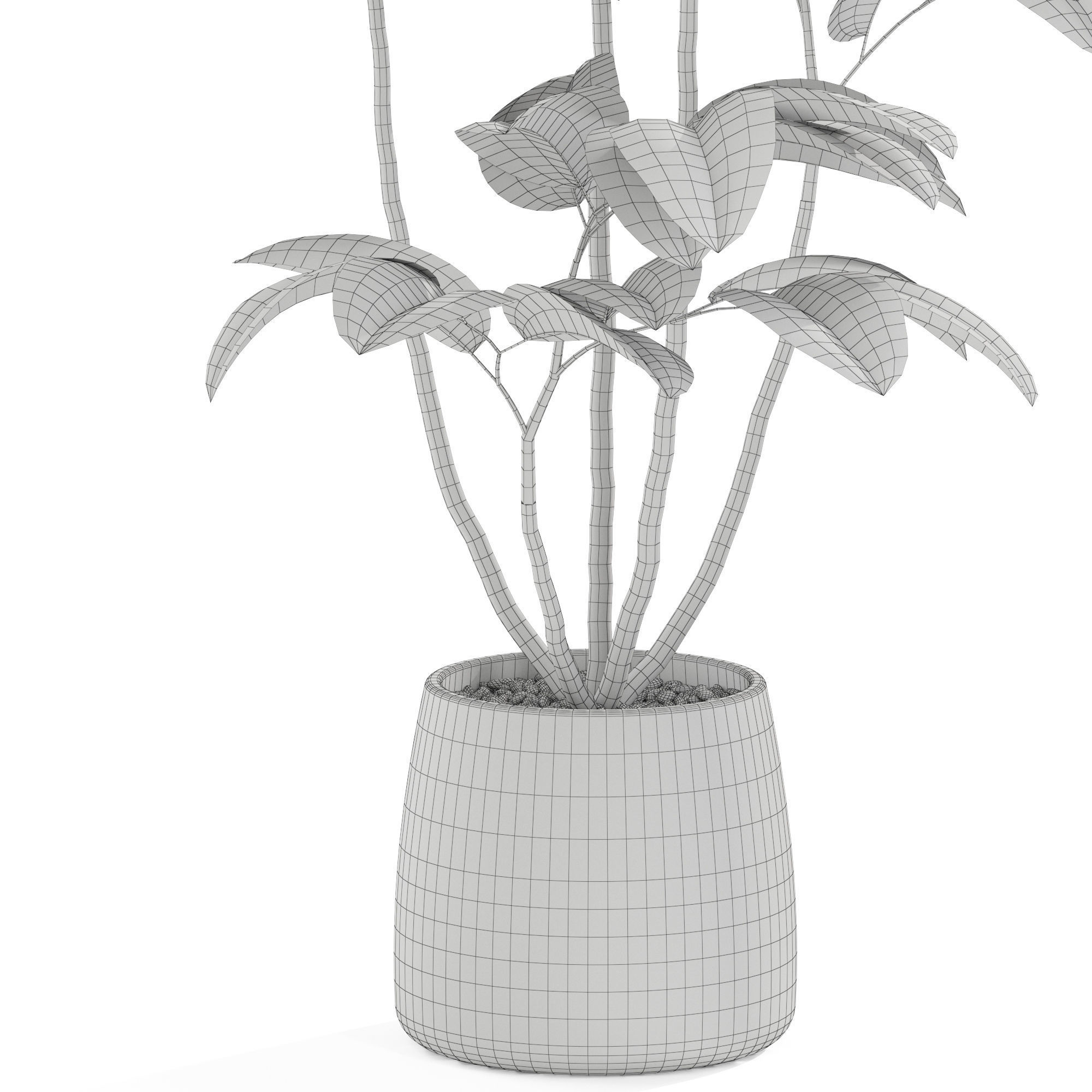 Plants collection 1033 3D model_5