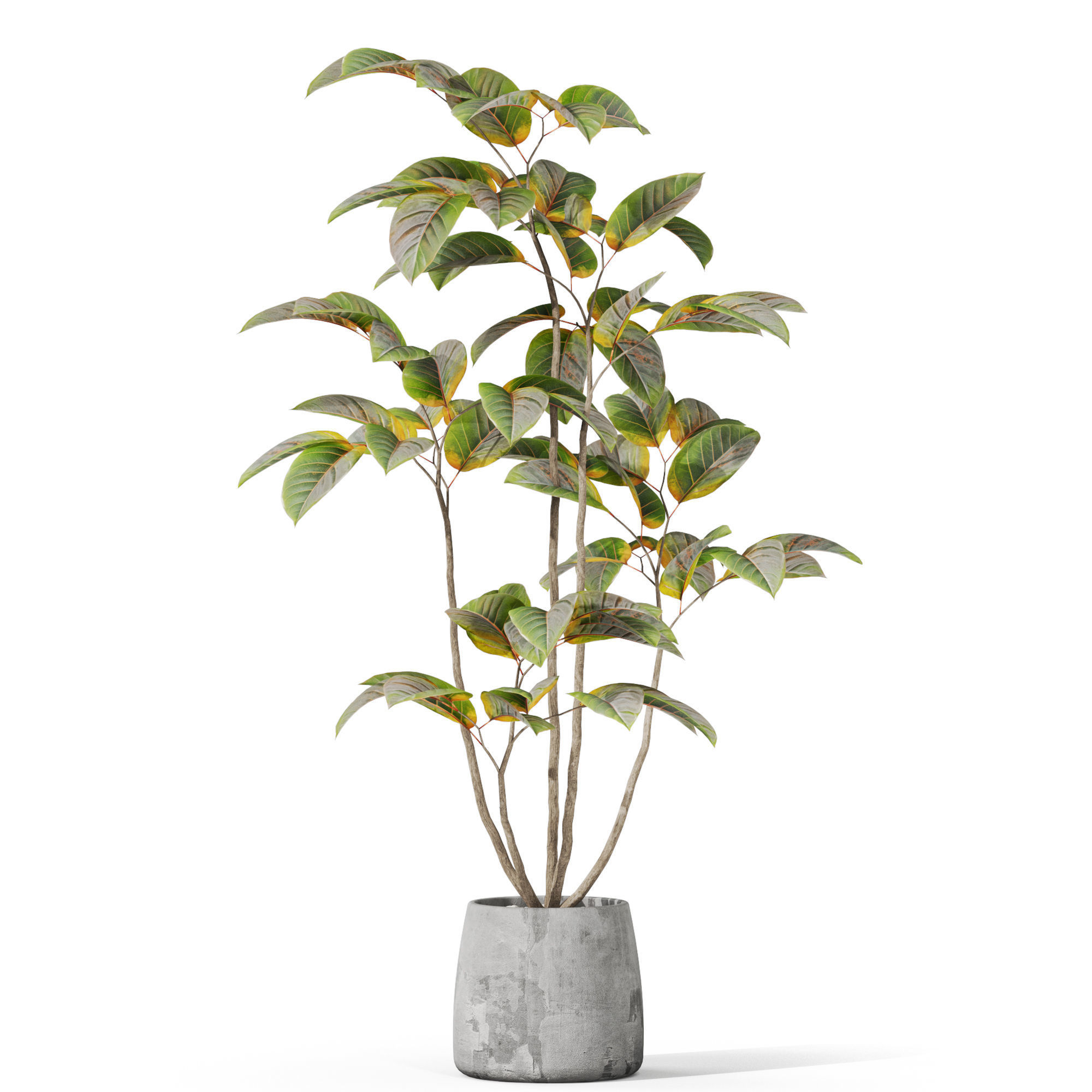 Plants collection 1033 3D model_1