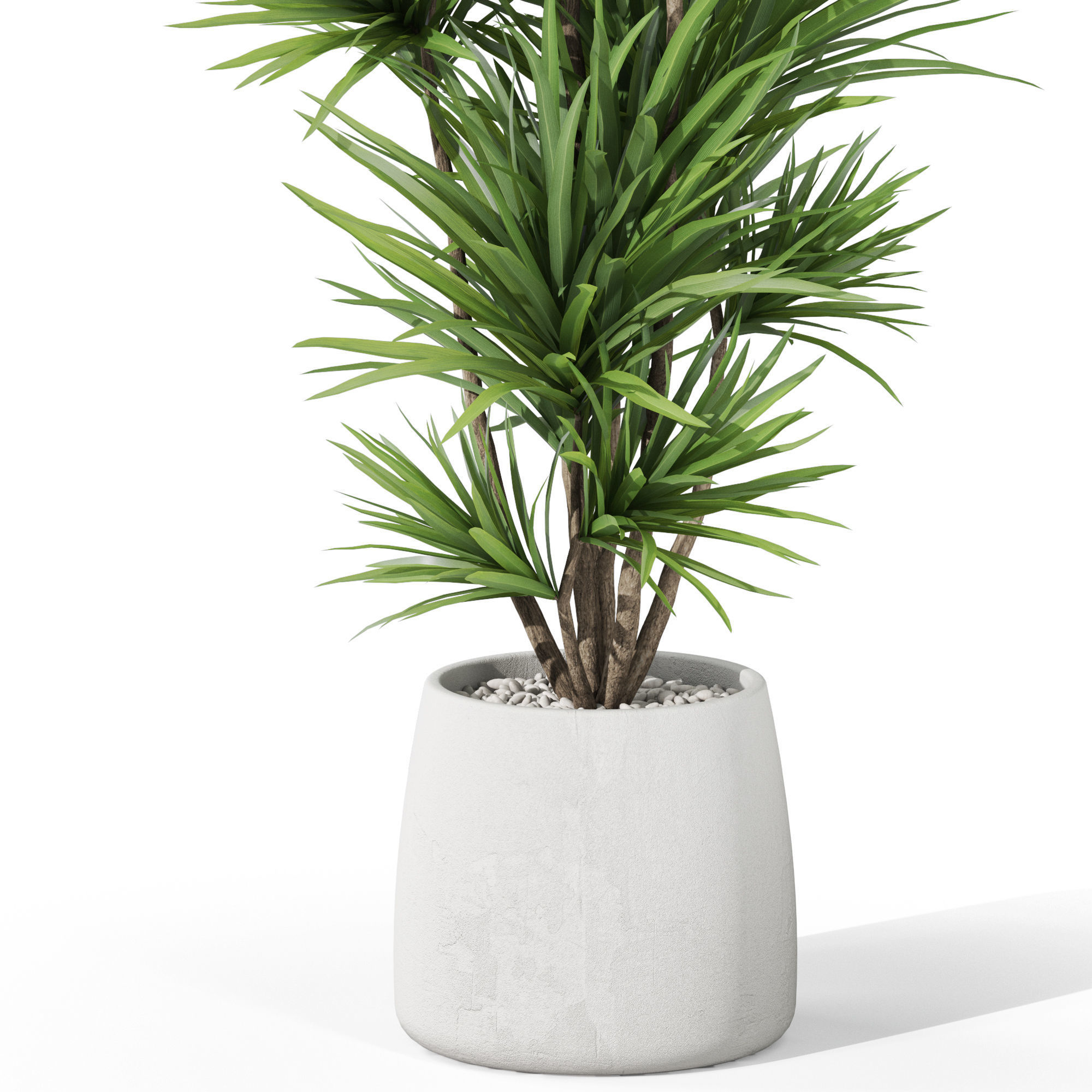 Plants collection 1034 3D model_2