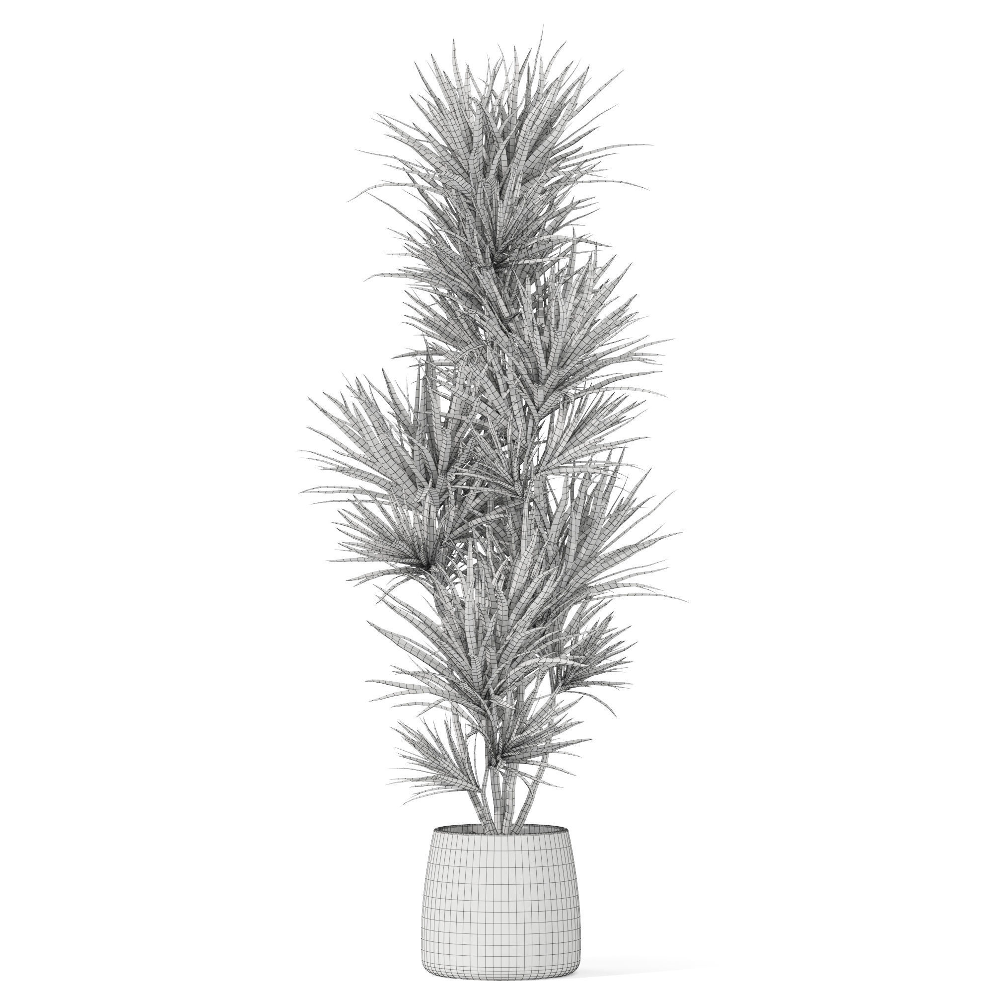 Plants collection 1034 3D model_4