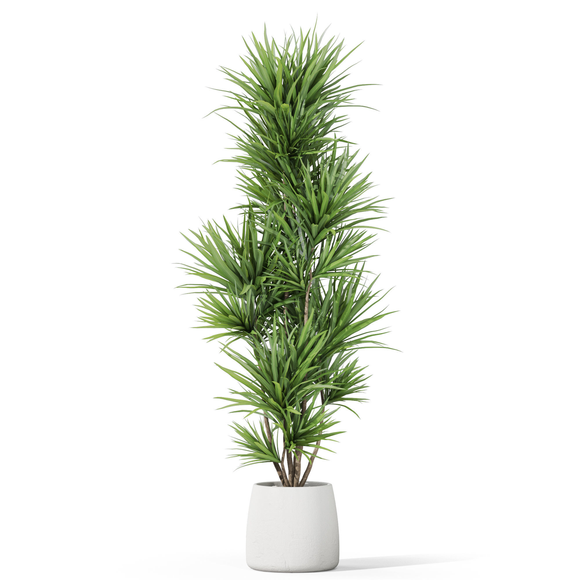 Plants collection 1034 3D model_1