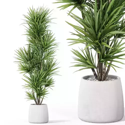 Plants collection 1034 3D model