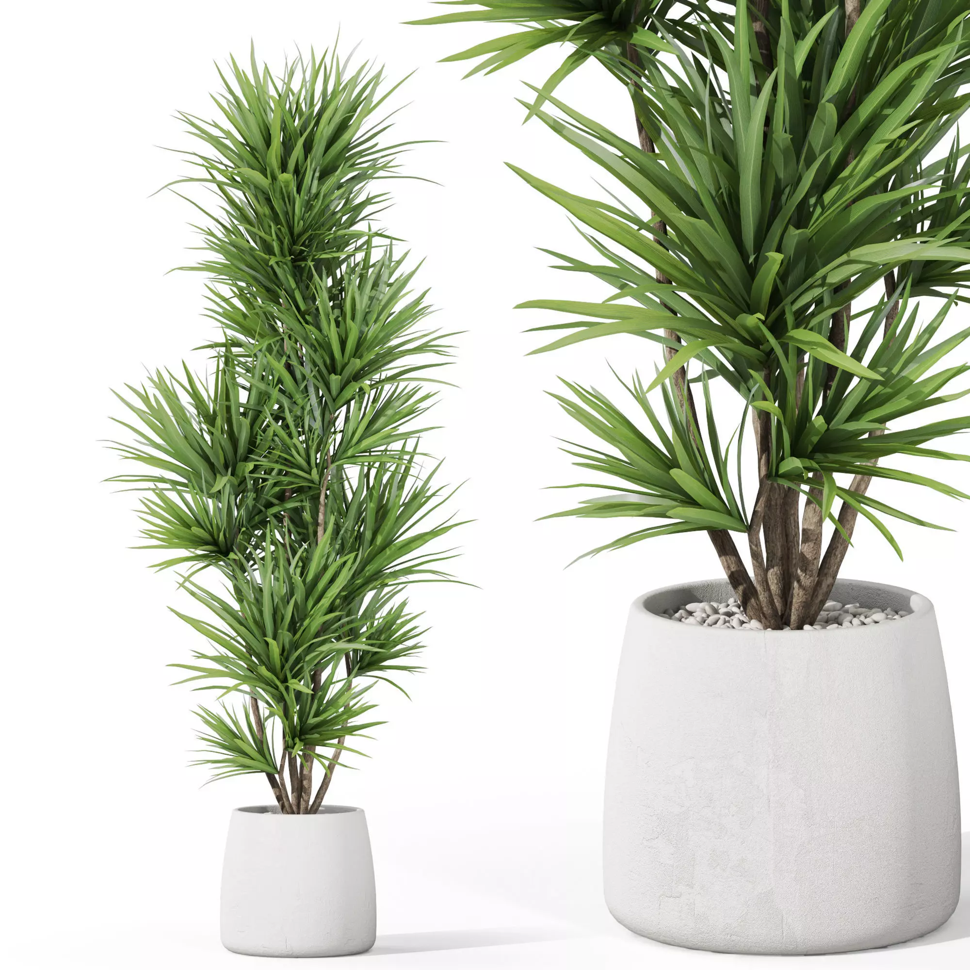 Plants collection 1034 3D model_0