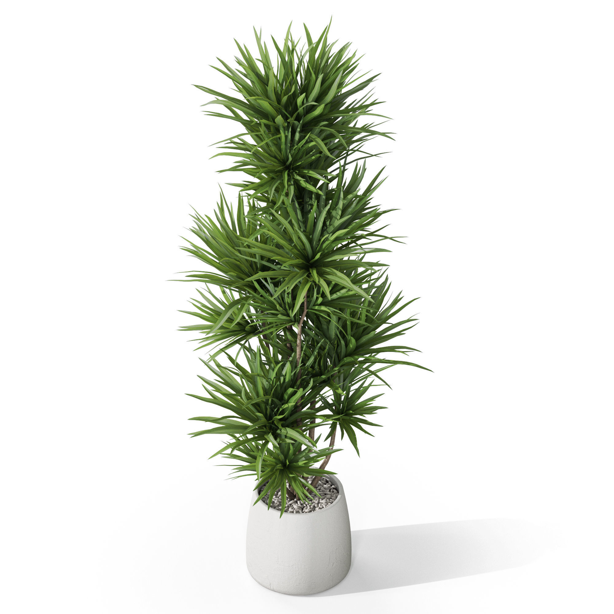 Plants collection 1034 3D model_3