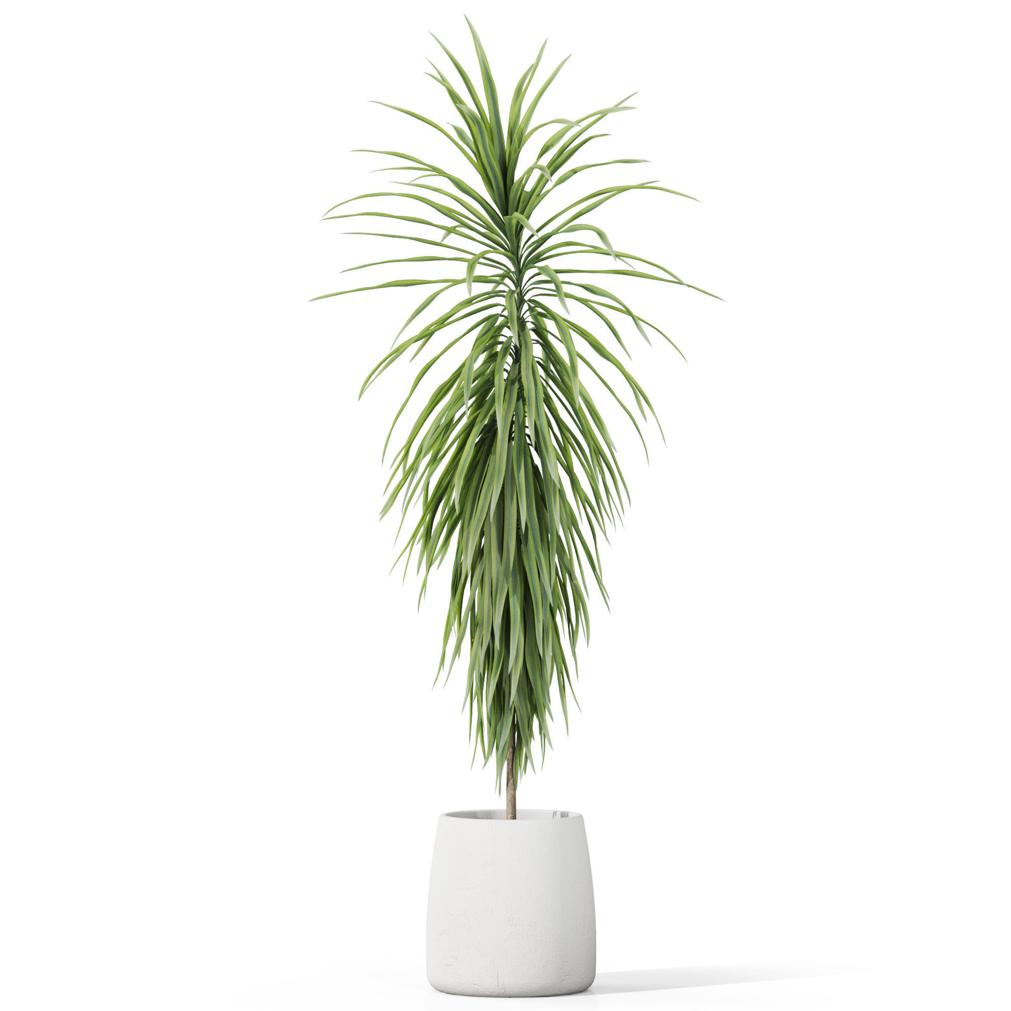 Plants collection 1035 3D model_1