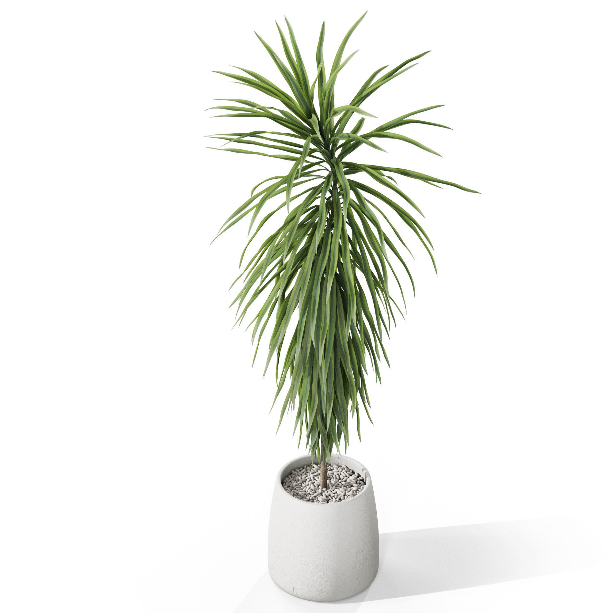 Plants collection 1035 3D model_3