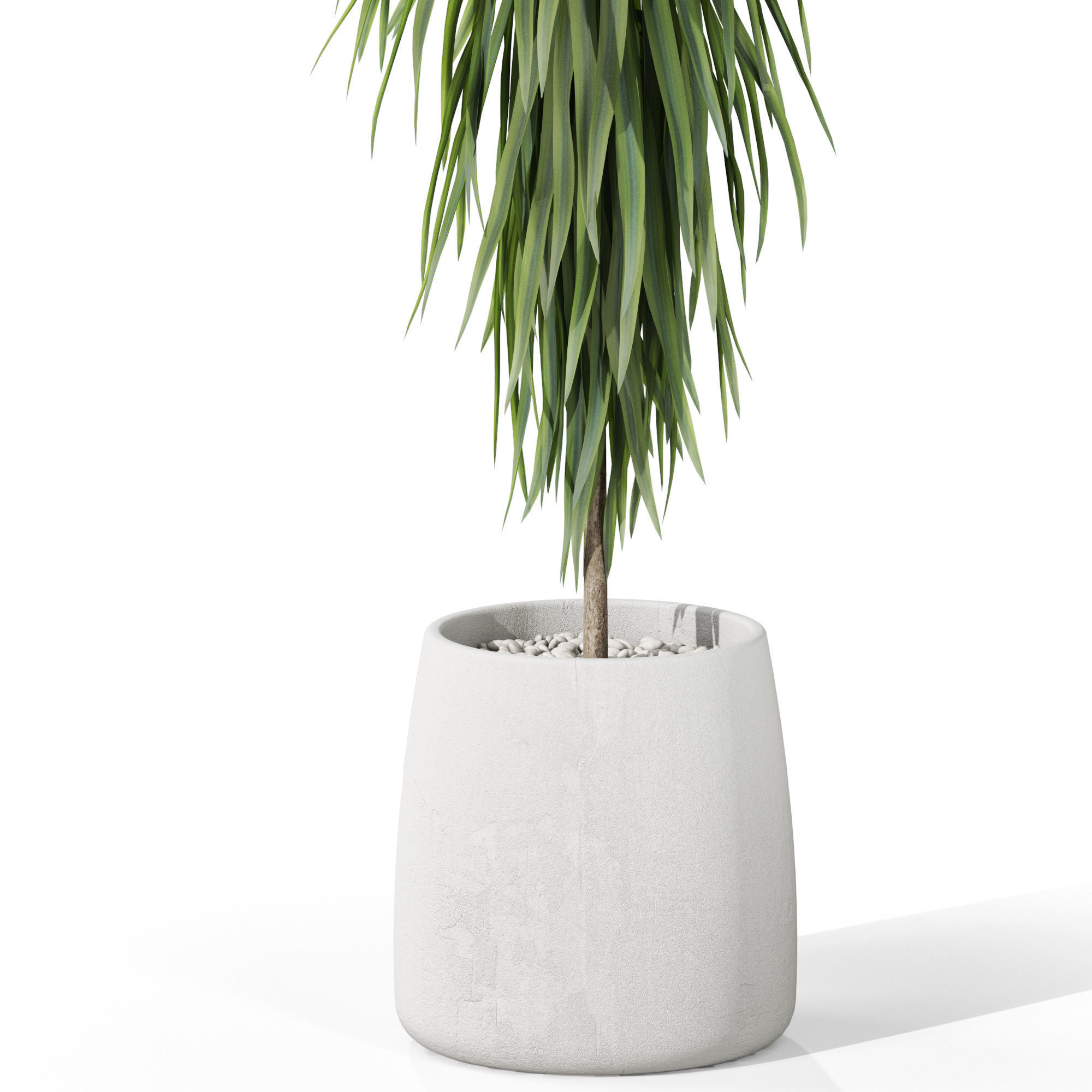 Plants collection 1035 3D model_2