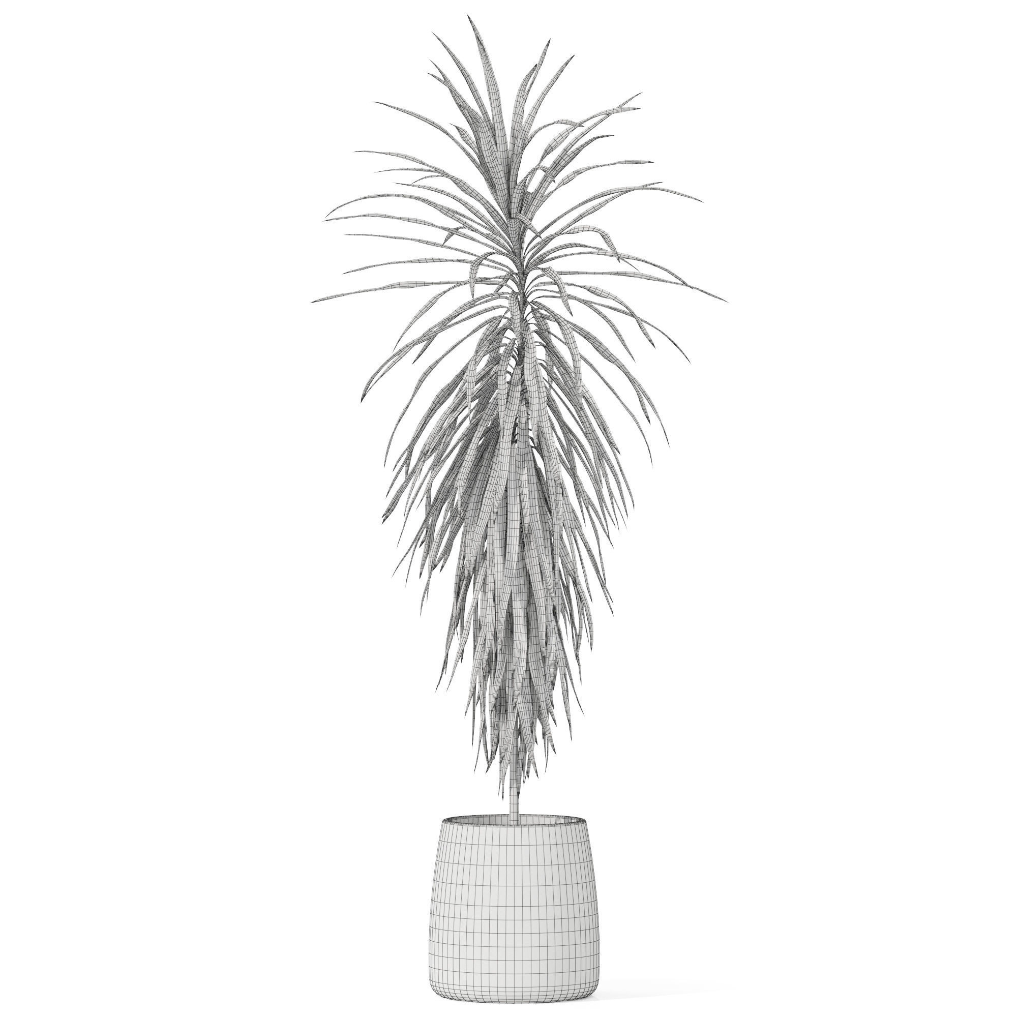 Plants collection 1035 3D model_4