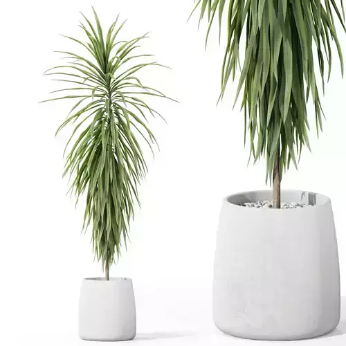 Plants collection 1035 3D model