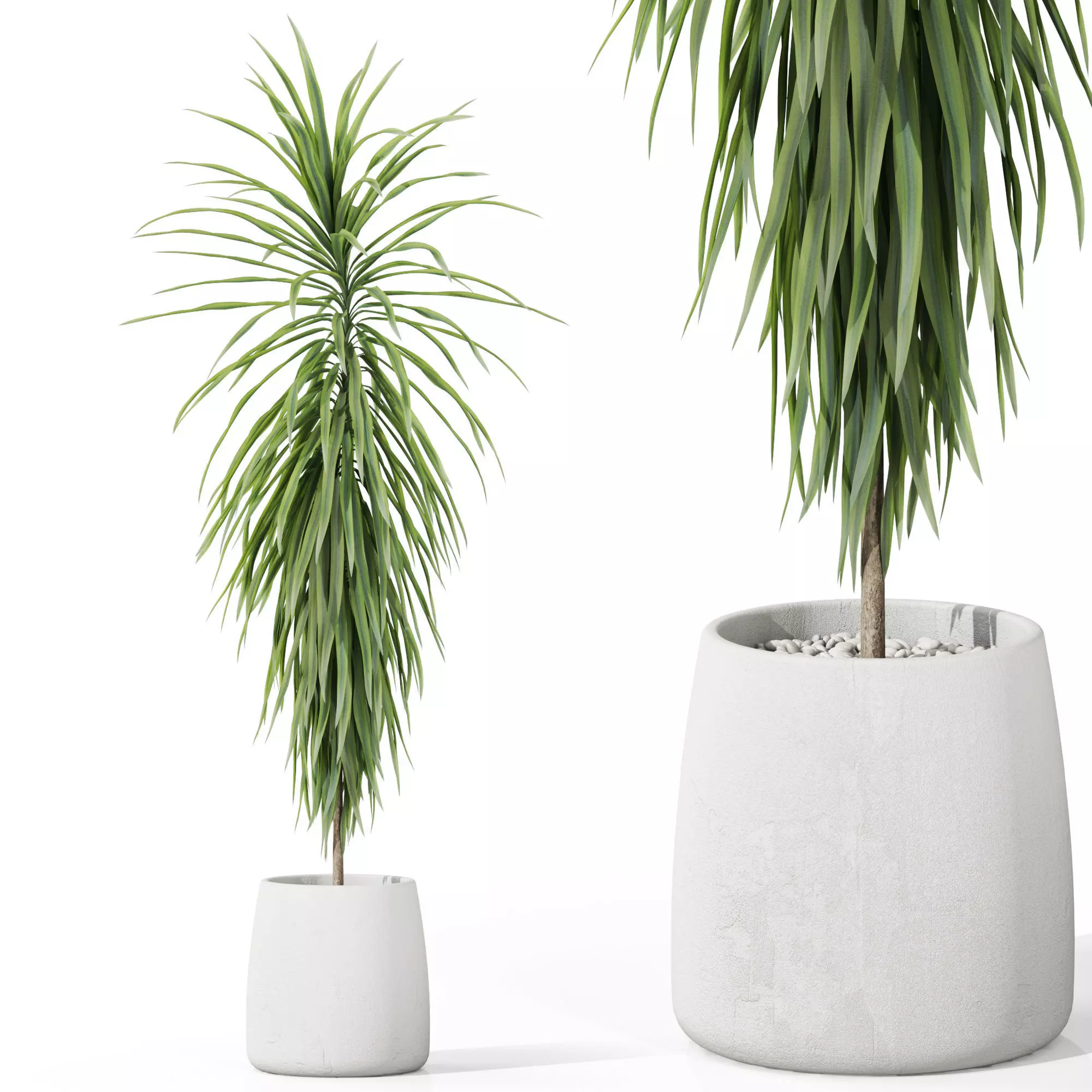 Plants collection 1035 3D model_0