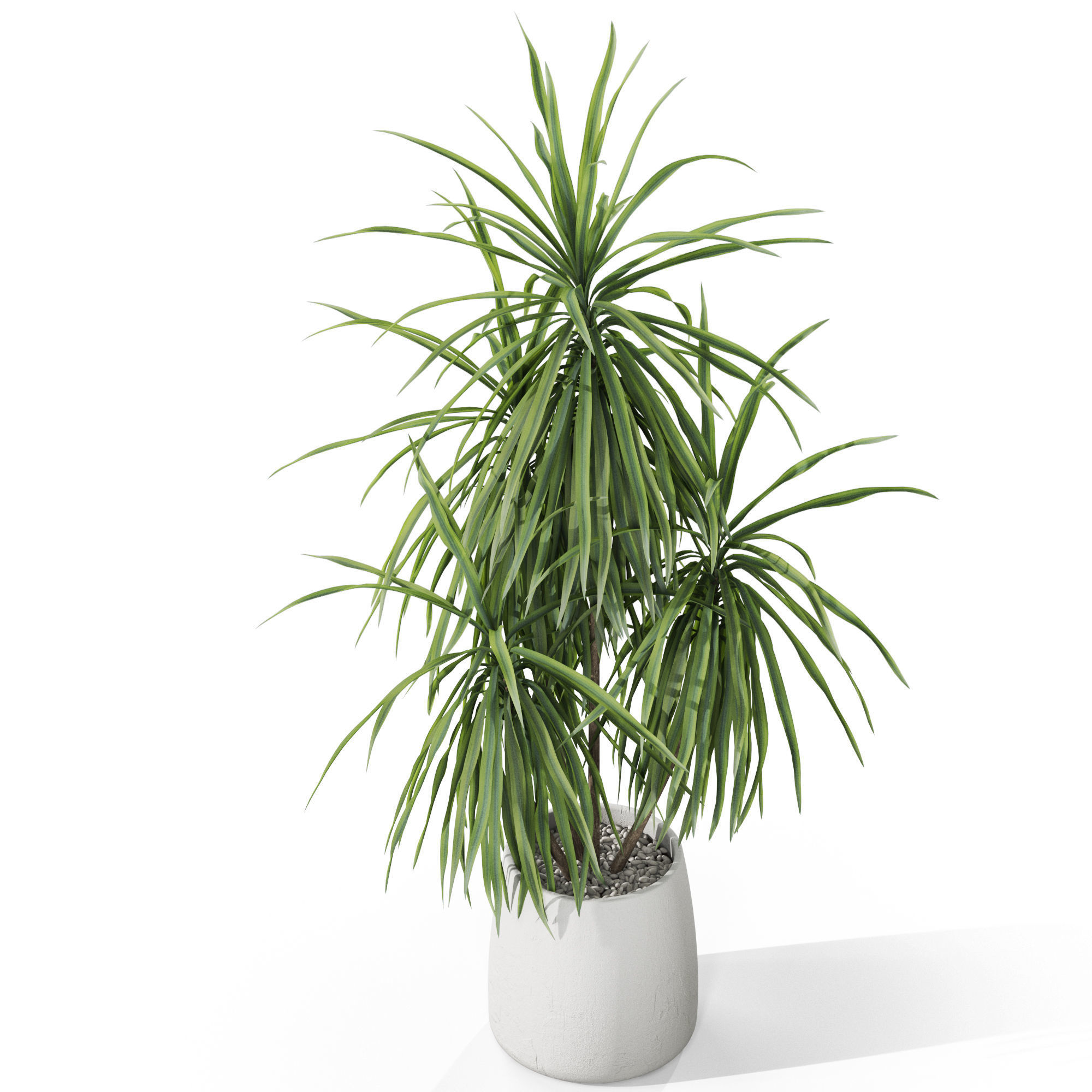 Plants collection 1036 3D model_3