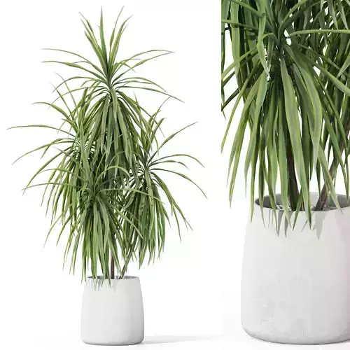 Plants collection 1036 3D model