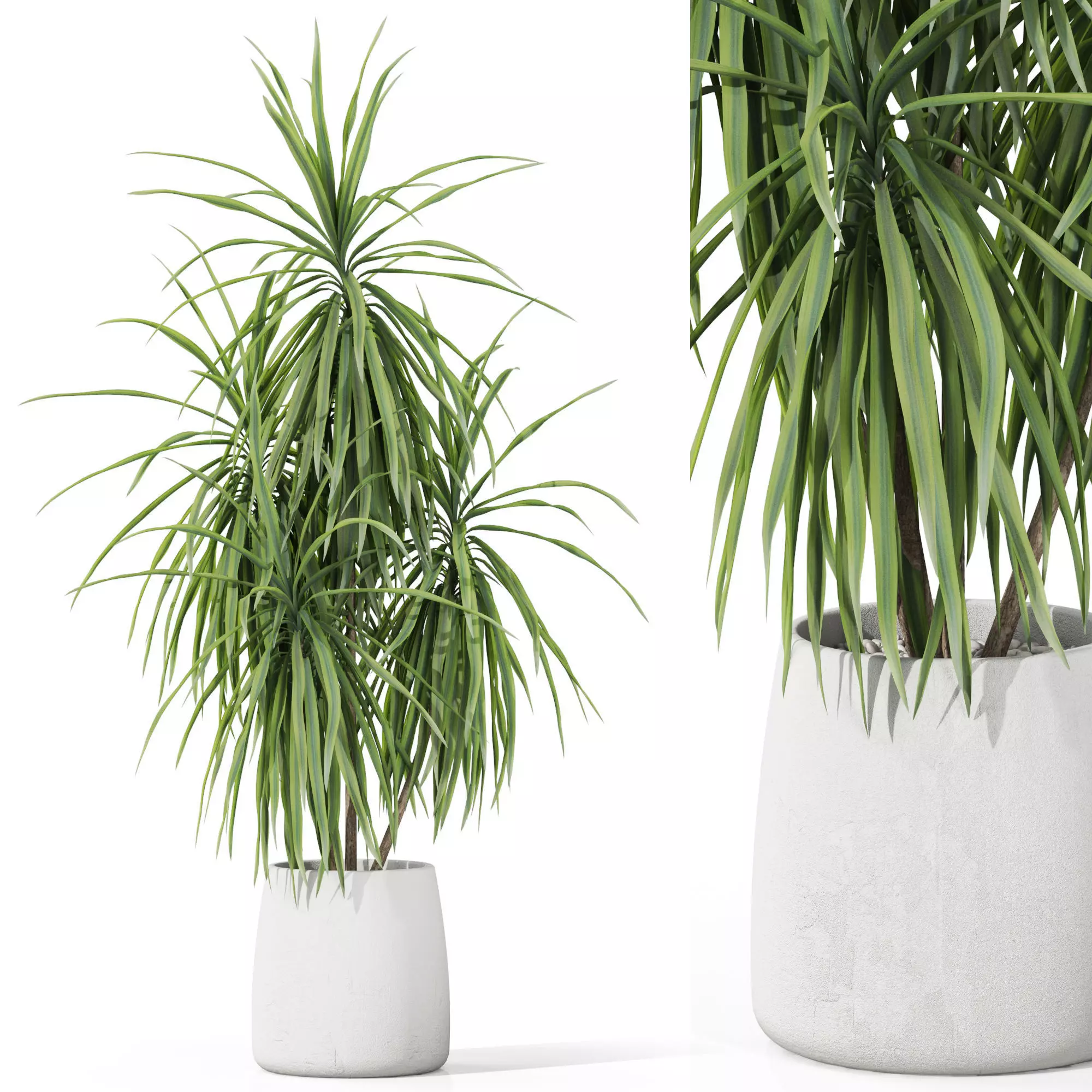 Plants collection 1036 3D model_0