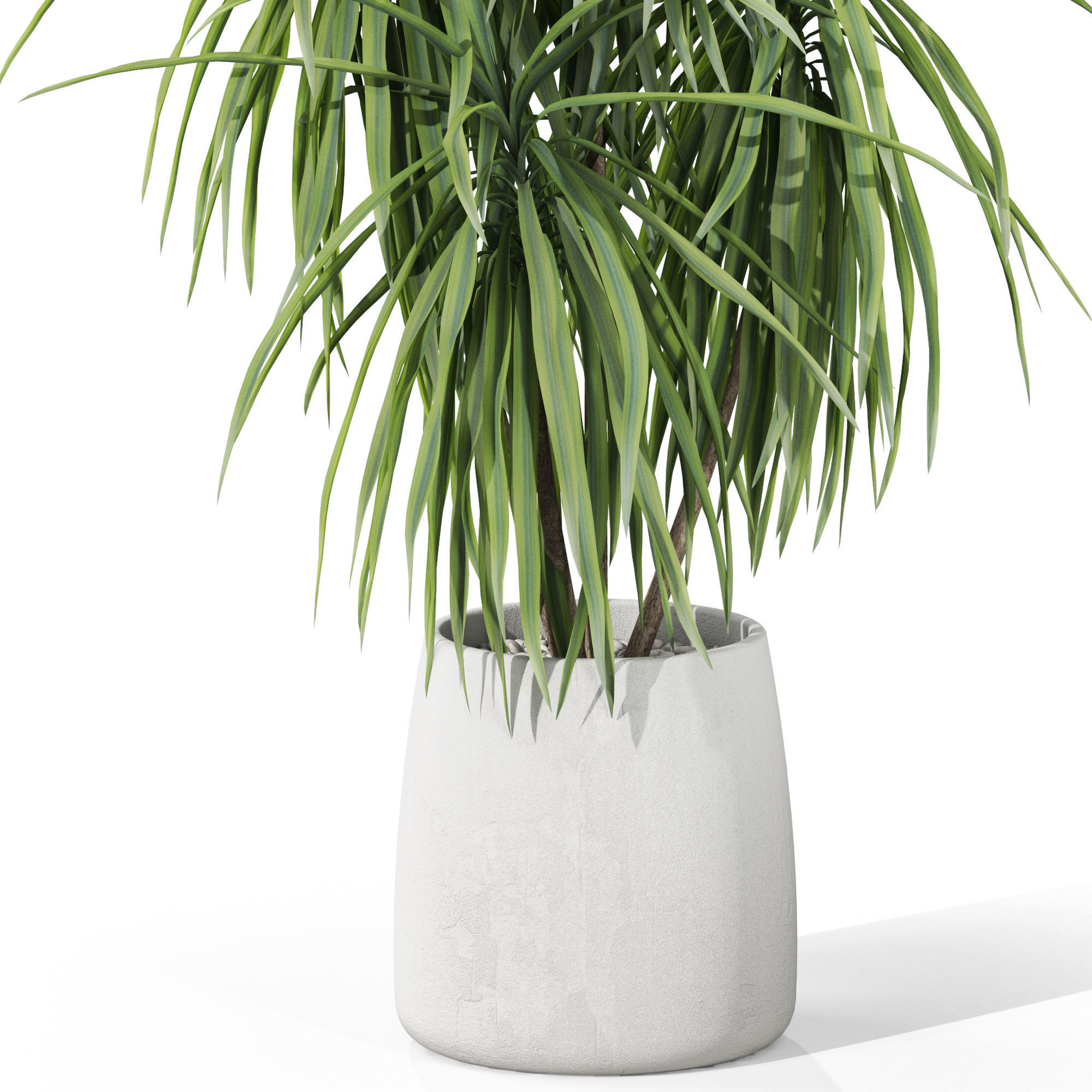 Plants collection 1036 3D model_2