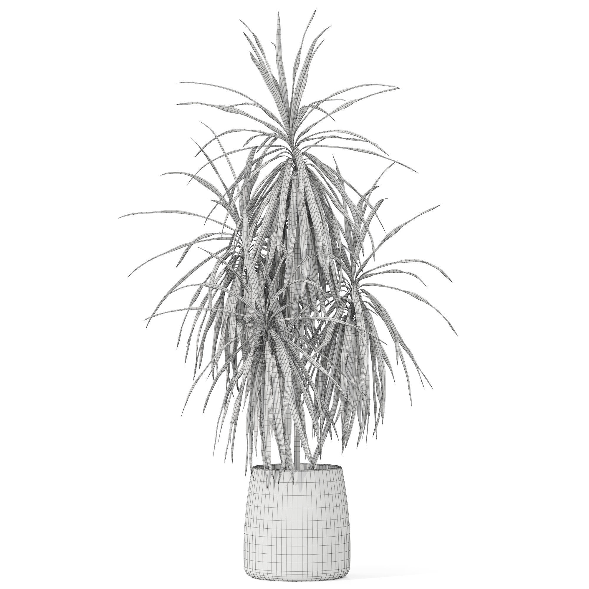 Plants collection 1036 3D model_4