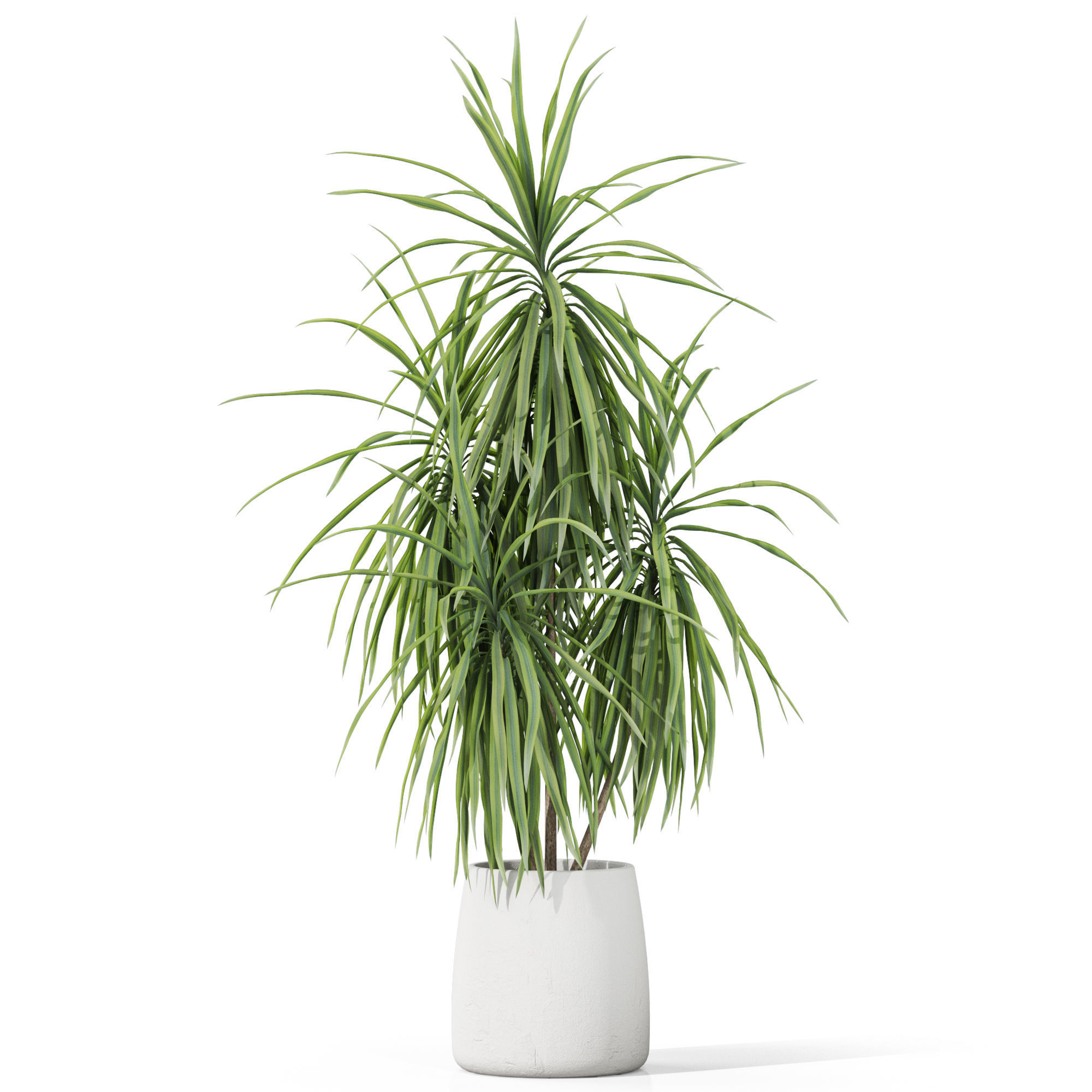 Plants collection 1036 3D model_1