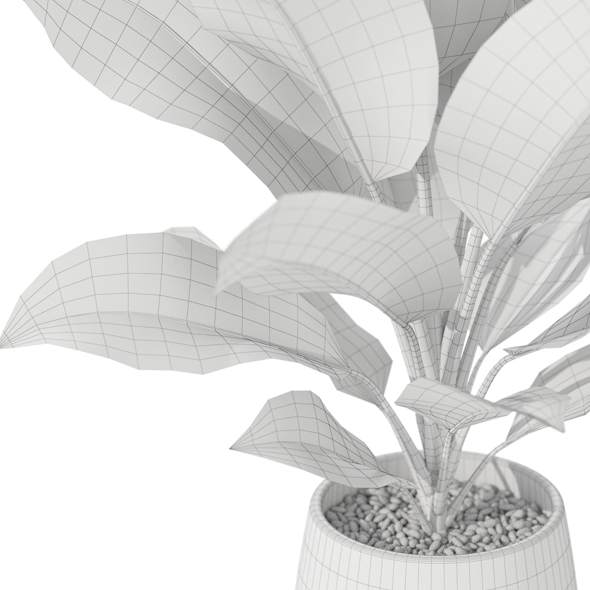 Plants collection 1037 3D model_5