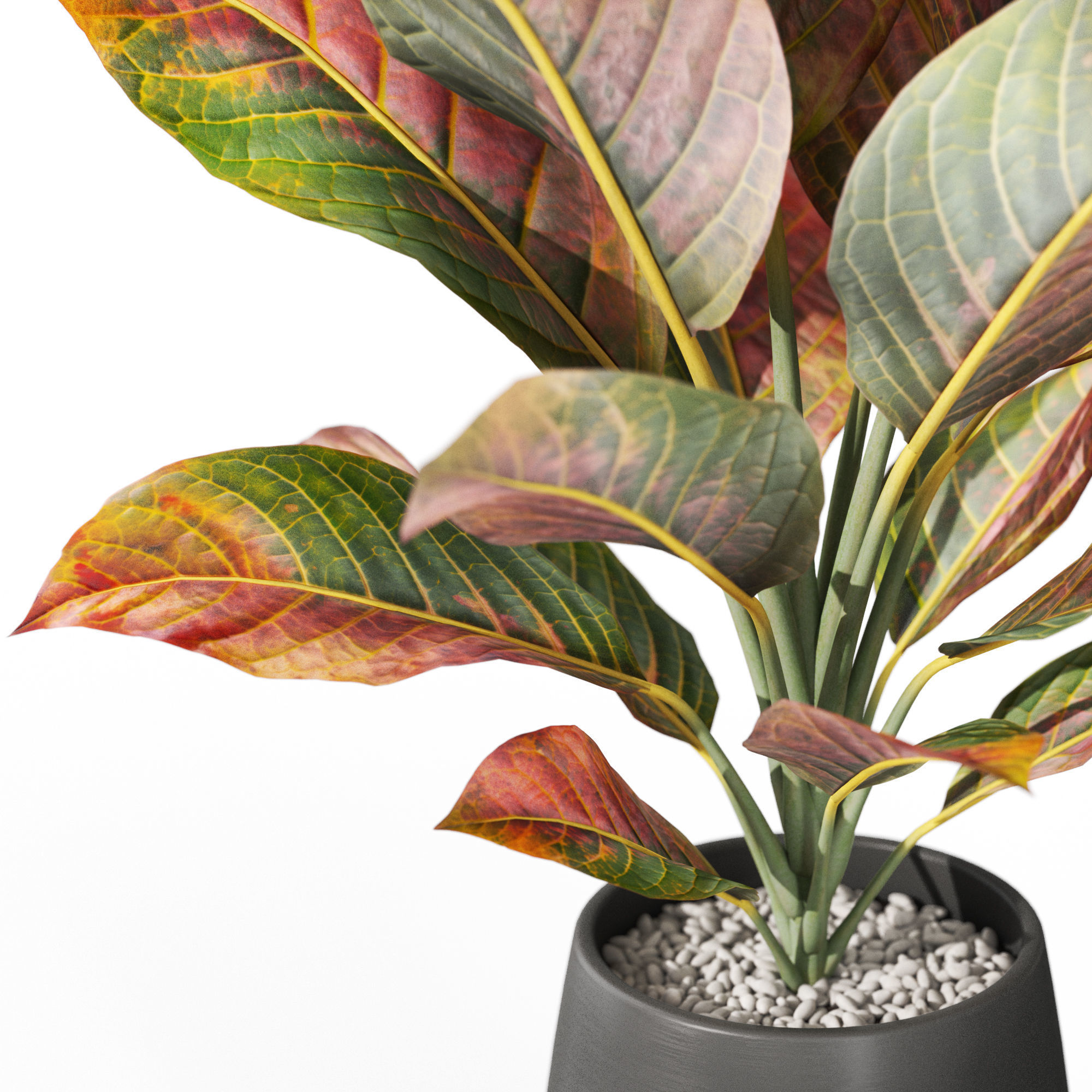 Plants collection 1037 3D model_2