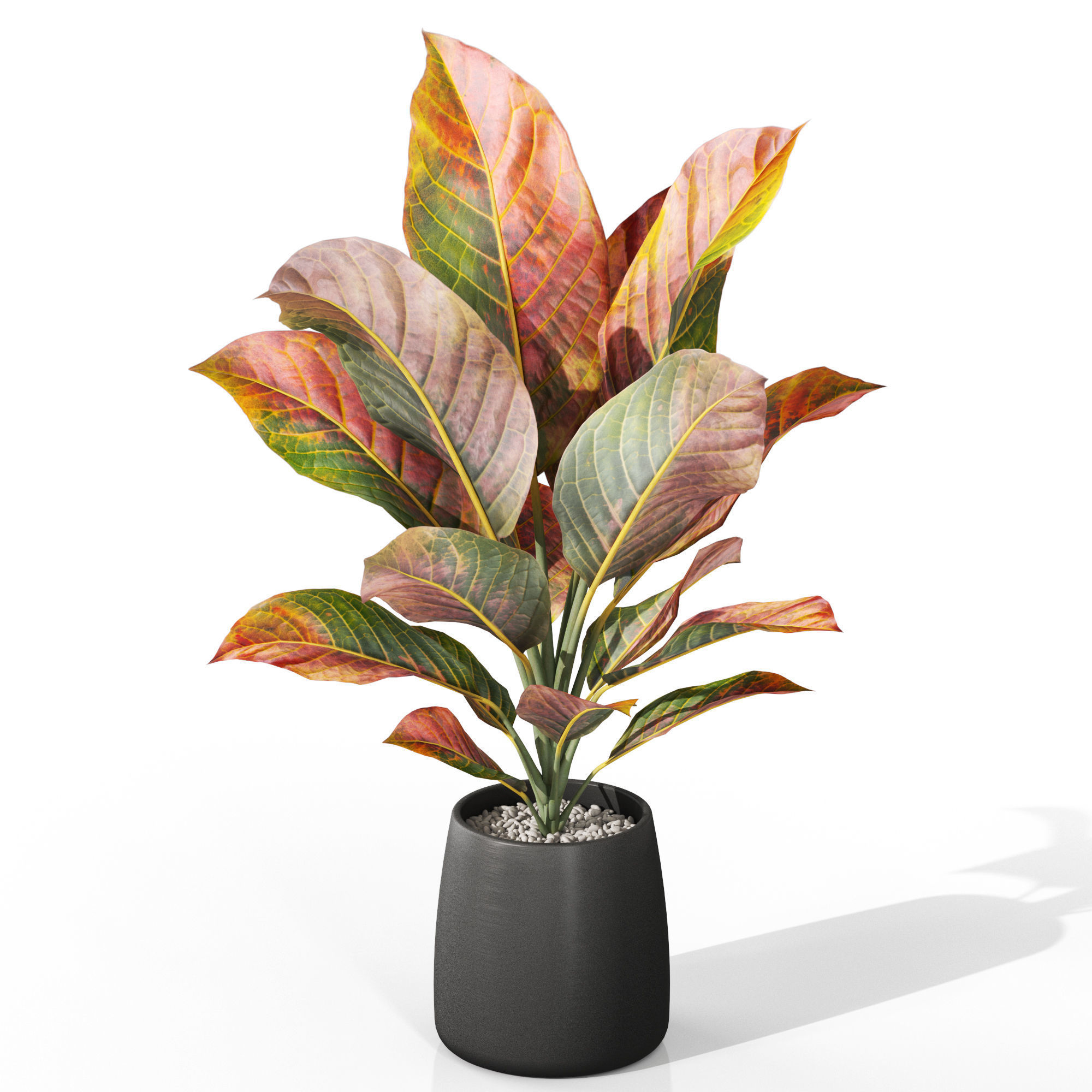Plants collection 1037 3D model_1