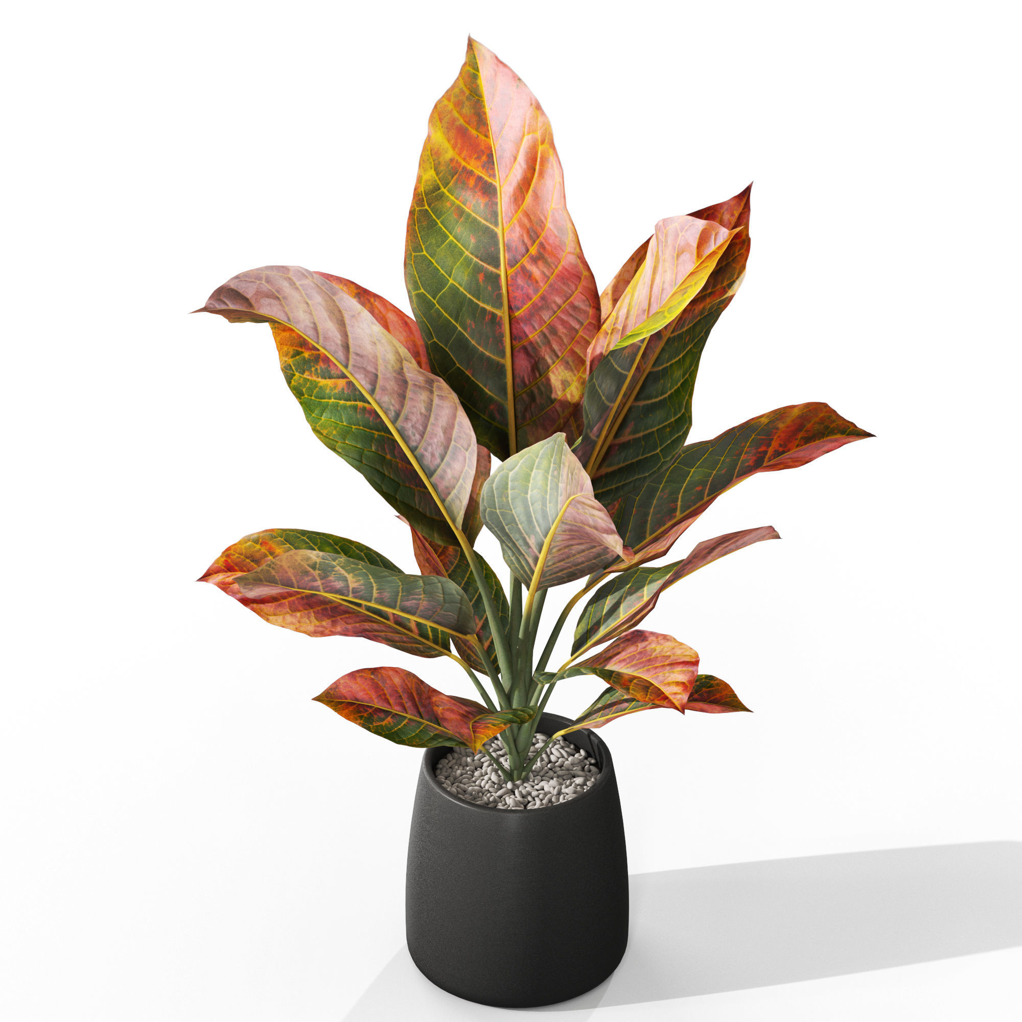 Plants collection 1037 3D model_3