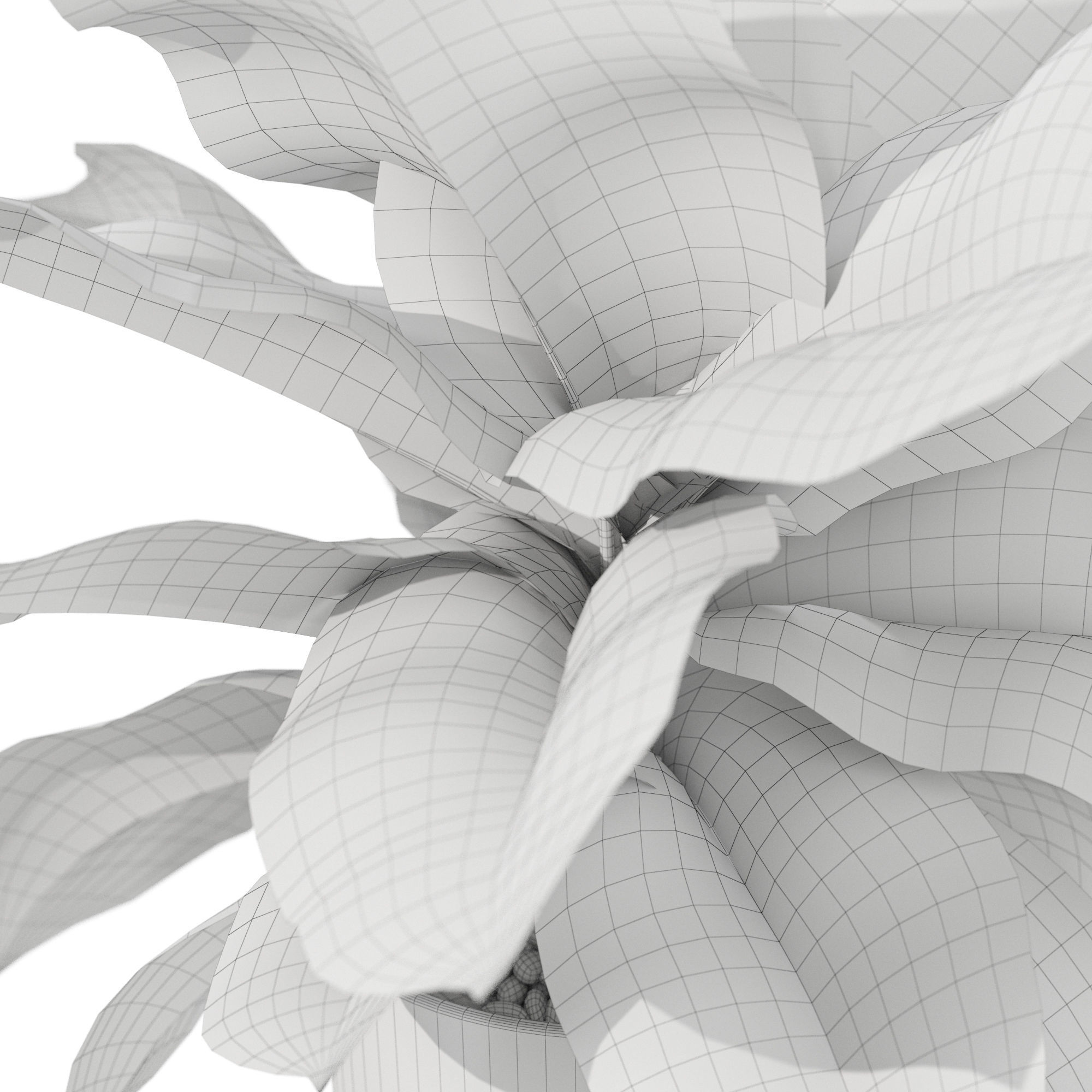 Plants collection 1038 3D model_5