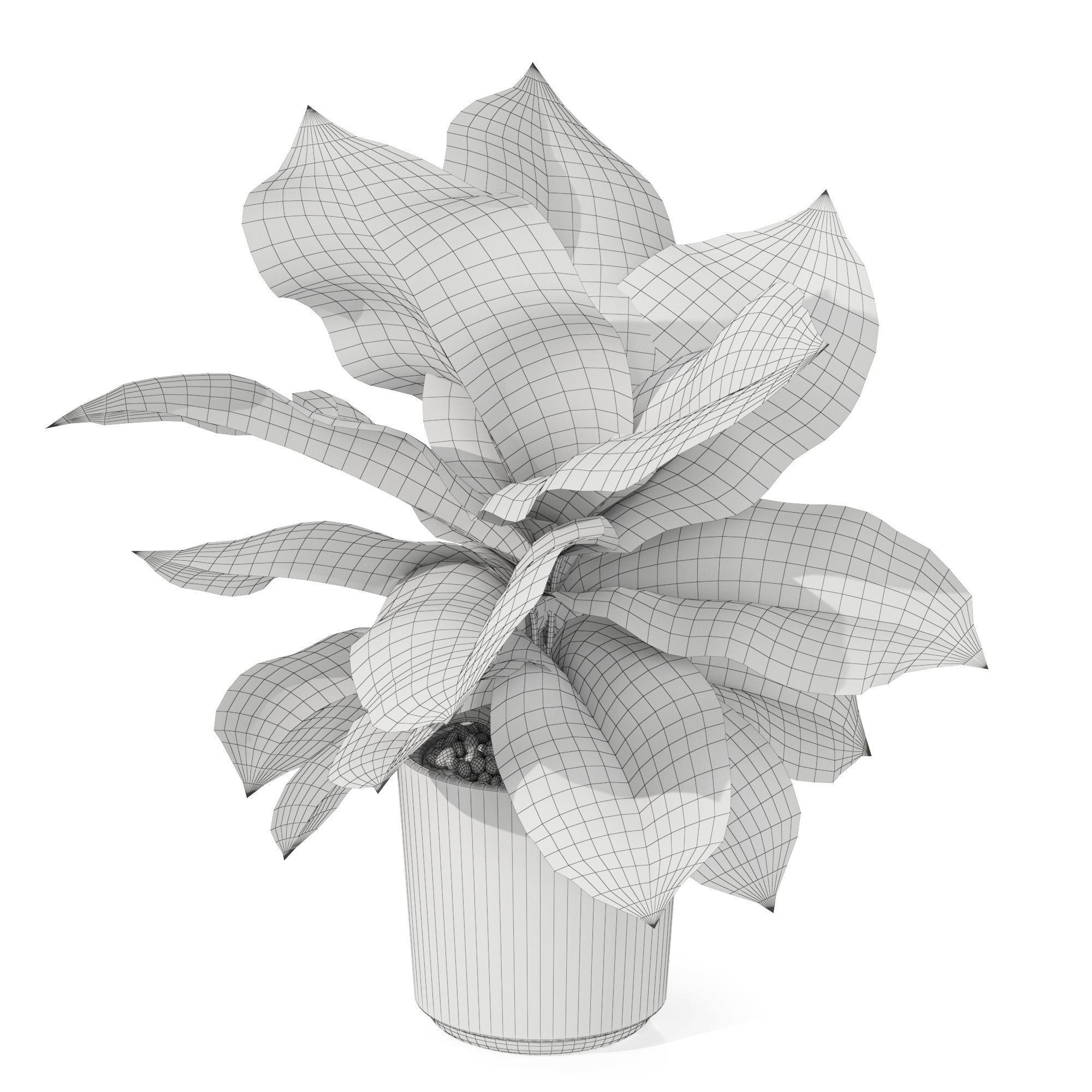 Plants collection 1038 3D model_4