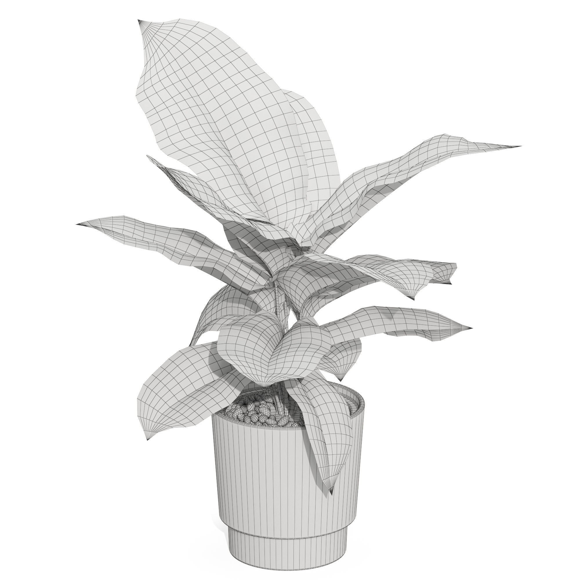Plants collection 1039 3D model_4
