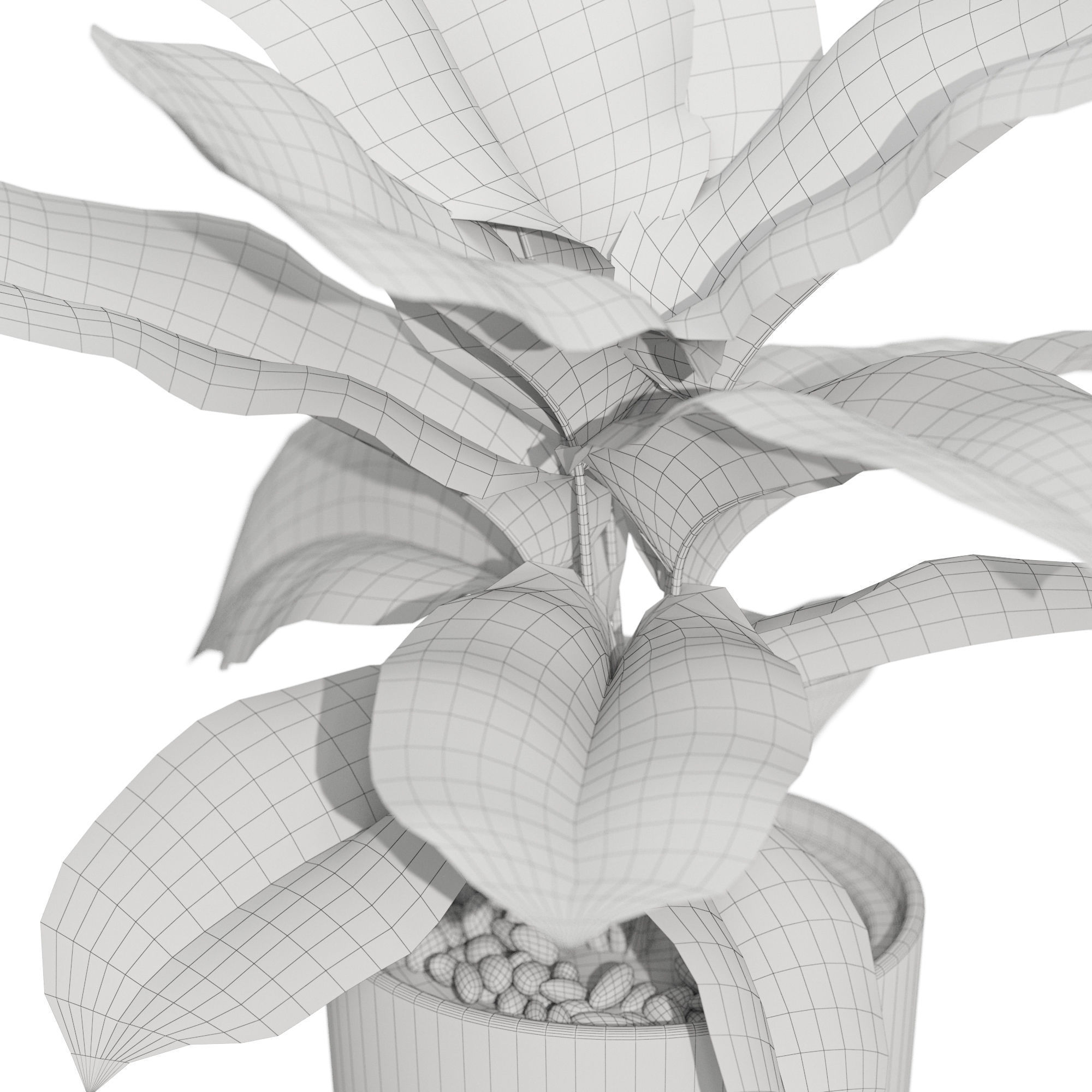 Plants collection 1039 3D model_5