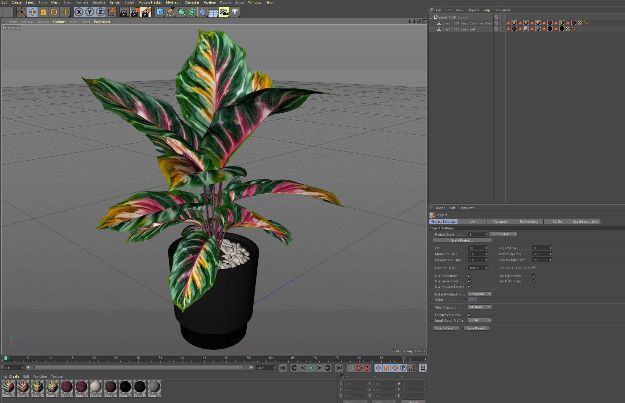 Plants collection 1039 3D model_7