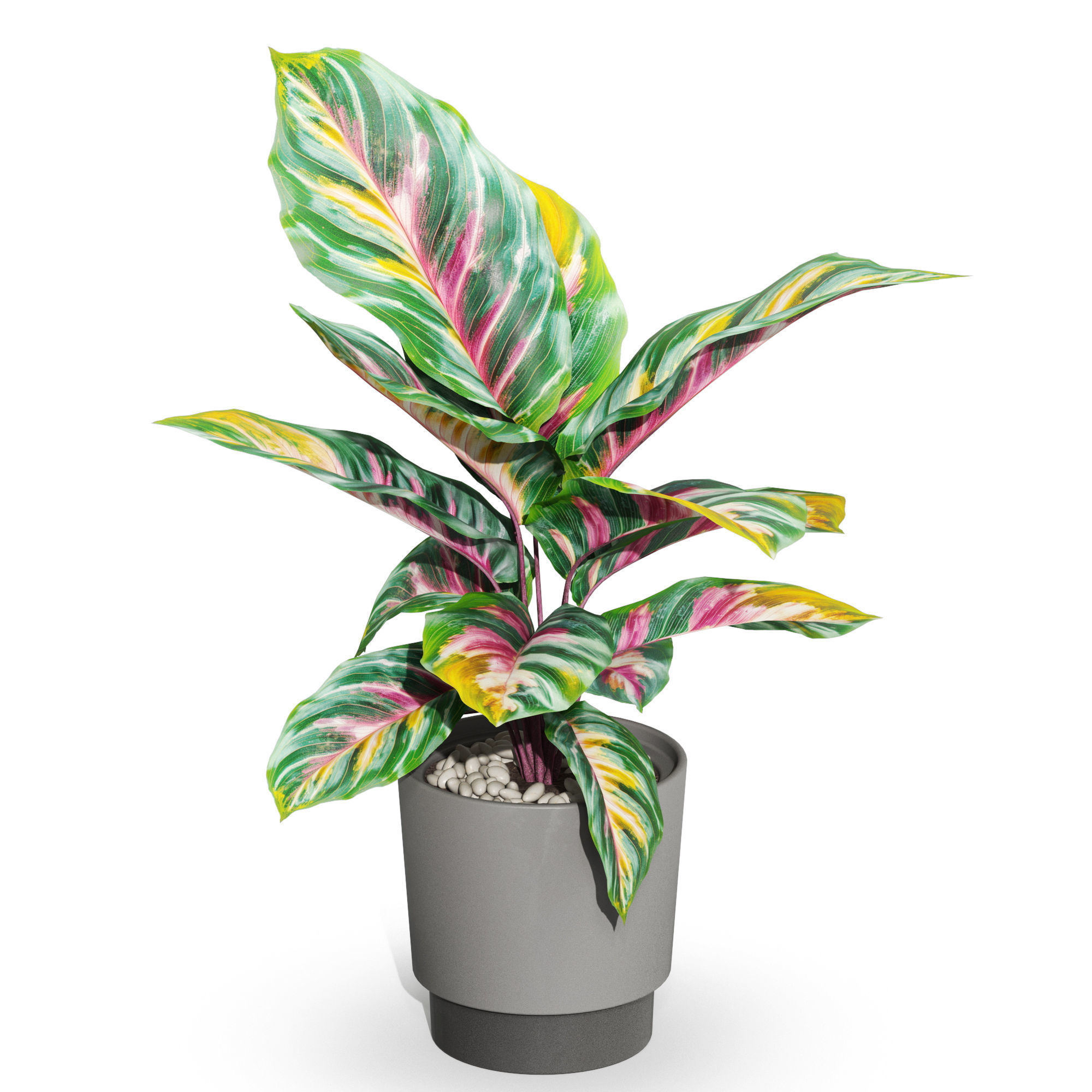 Plants collection 1039 3D model_1