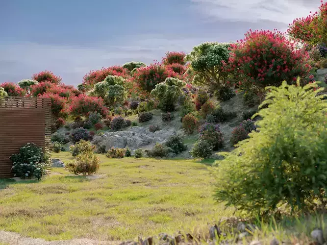 Package 09 Flowering Trees