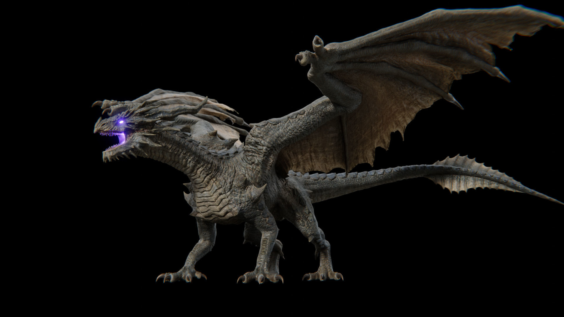 Ancient Dragon  Low-poly 3D model_30