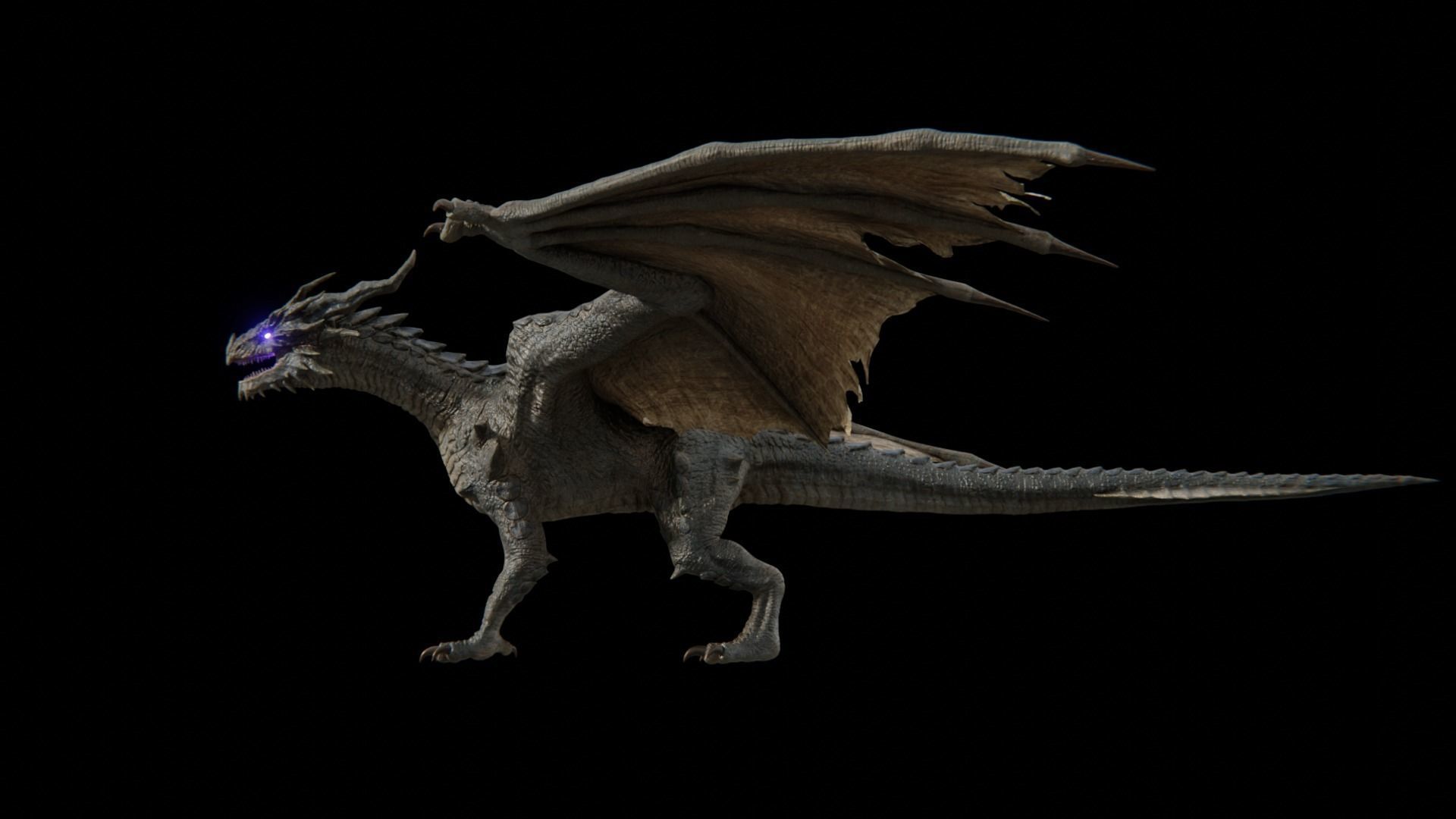 Ancient Dragon  Low-poly 3D model_25