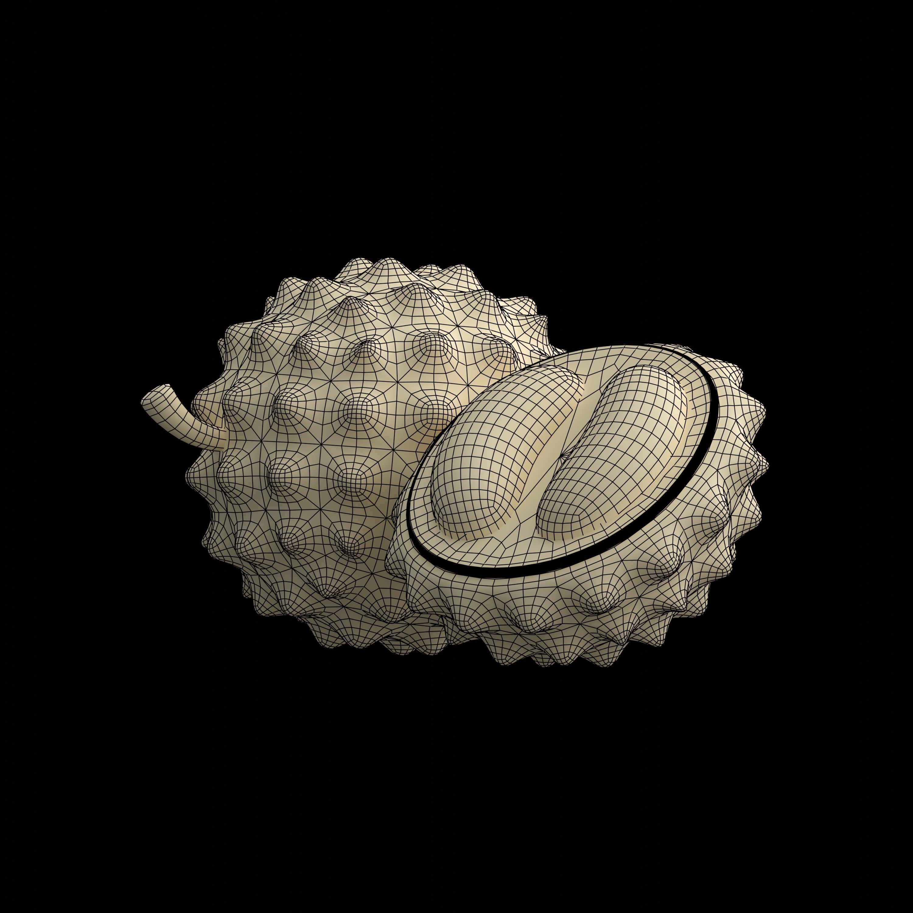 durian slices 3D model_1