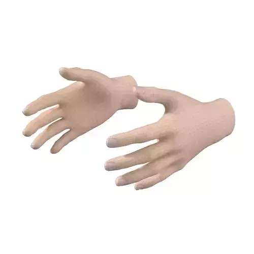 Female Hand Base Mesh 01 3D model
