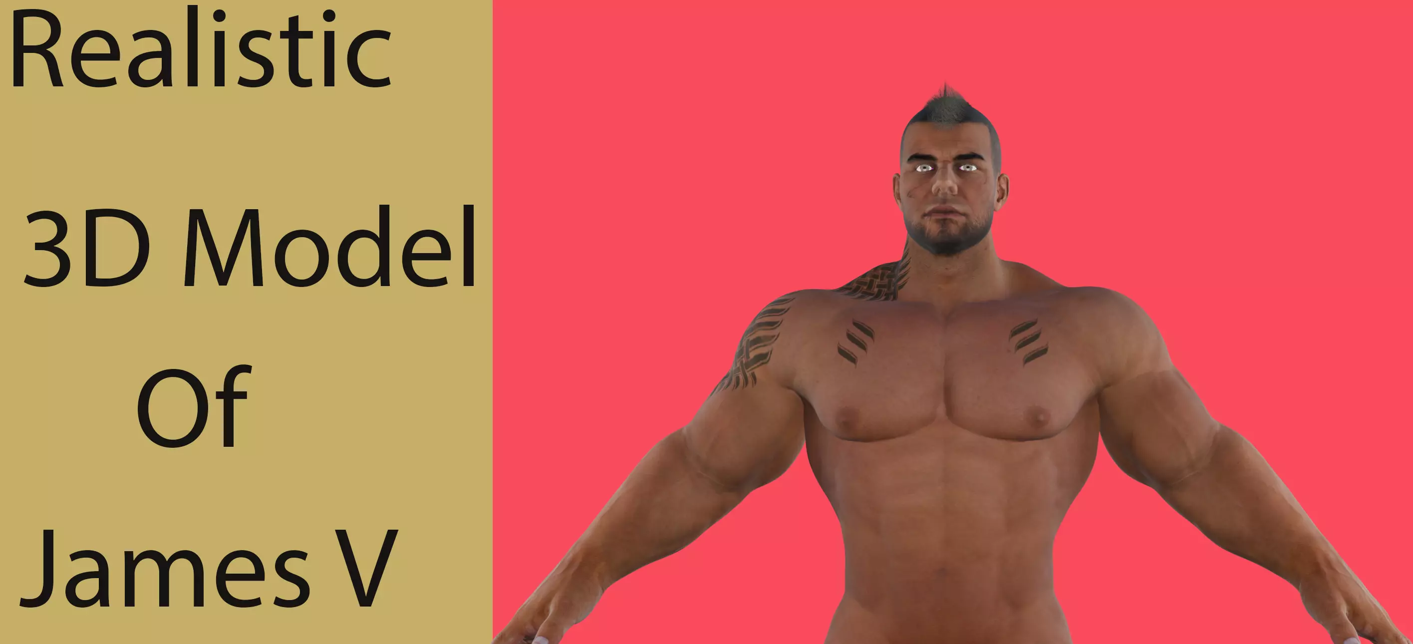 James V Low-poly 3D model_0