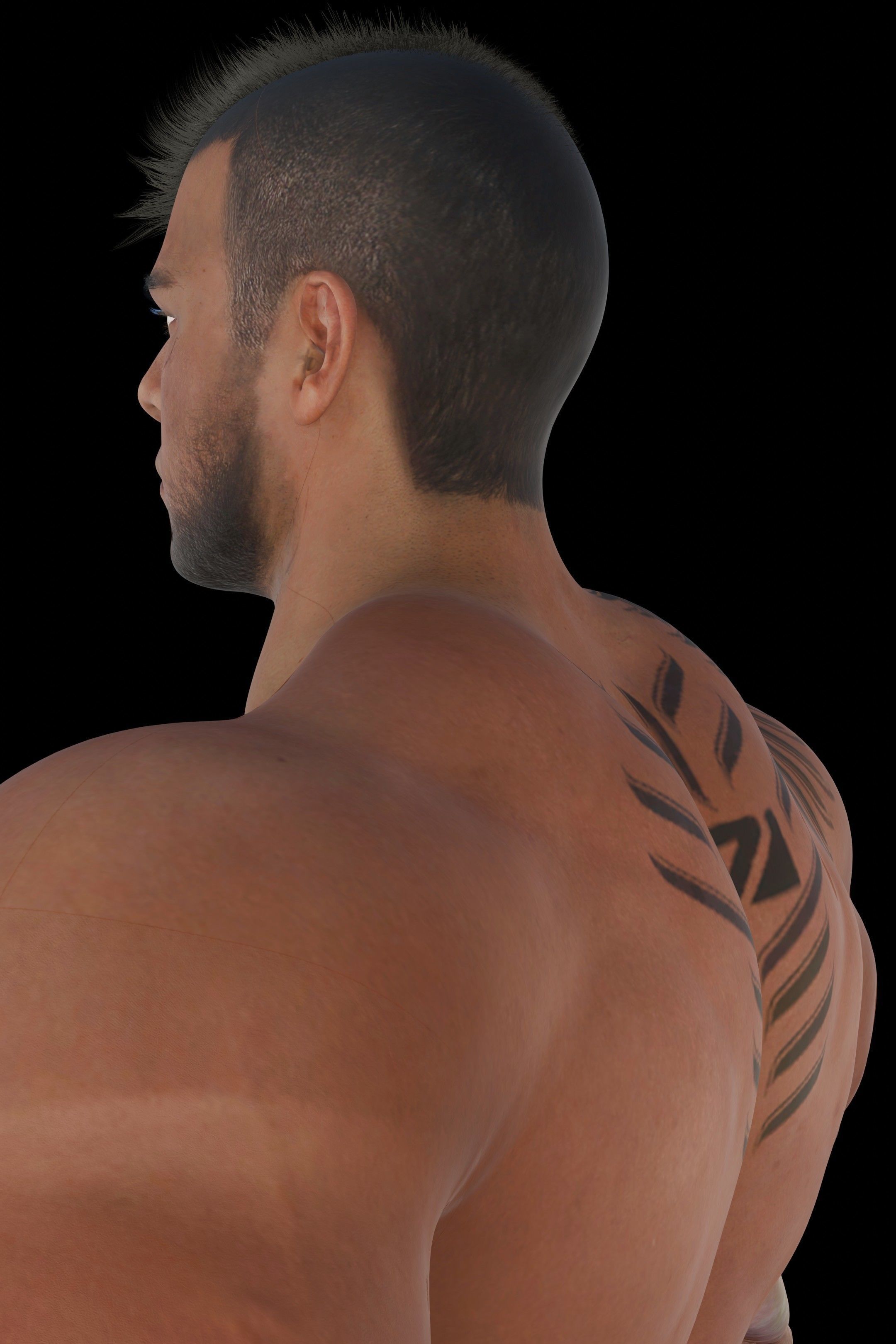 James V Low-poly 3D model_13