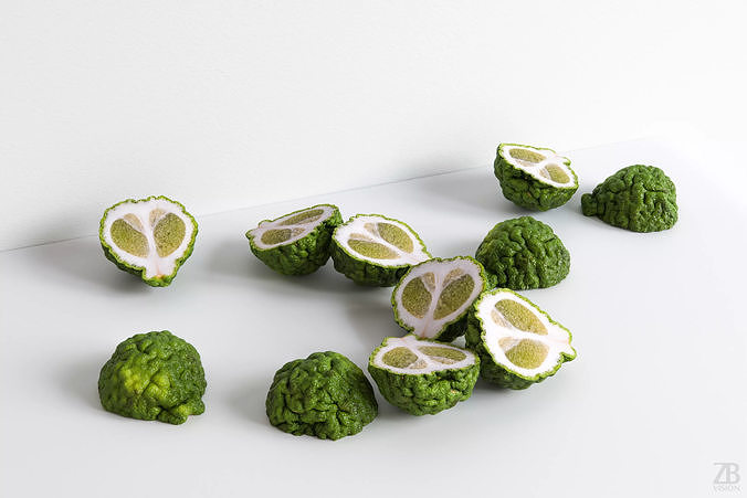Lime  3D model