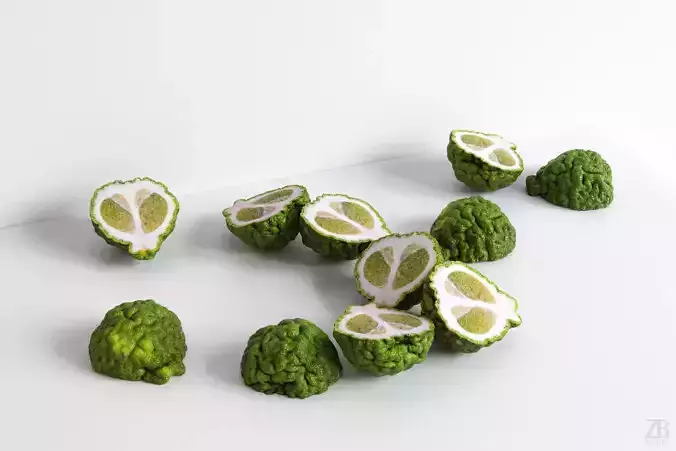 Lime  3D model