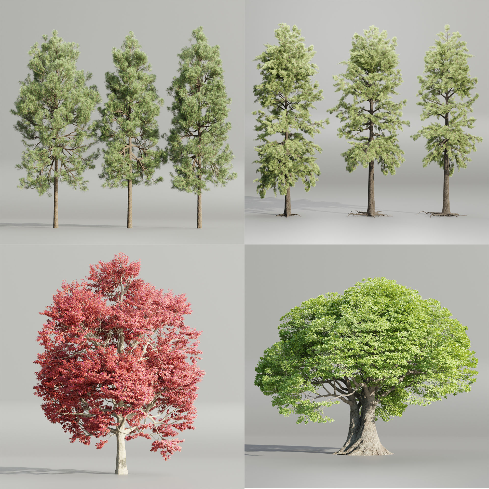 50 Tree Models Collection-Blender 3D model_4