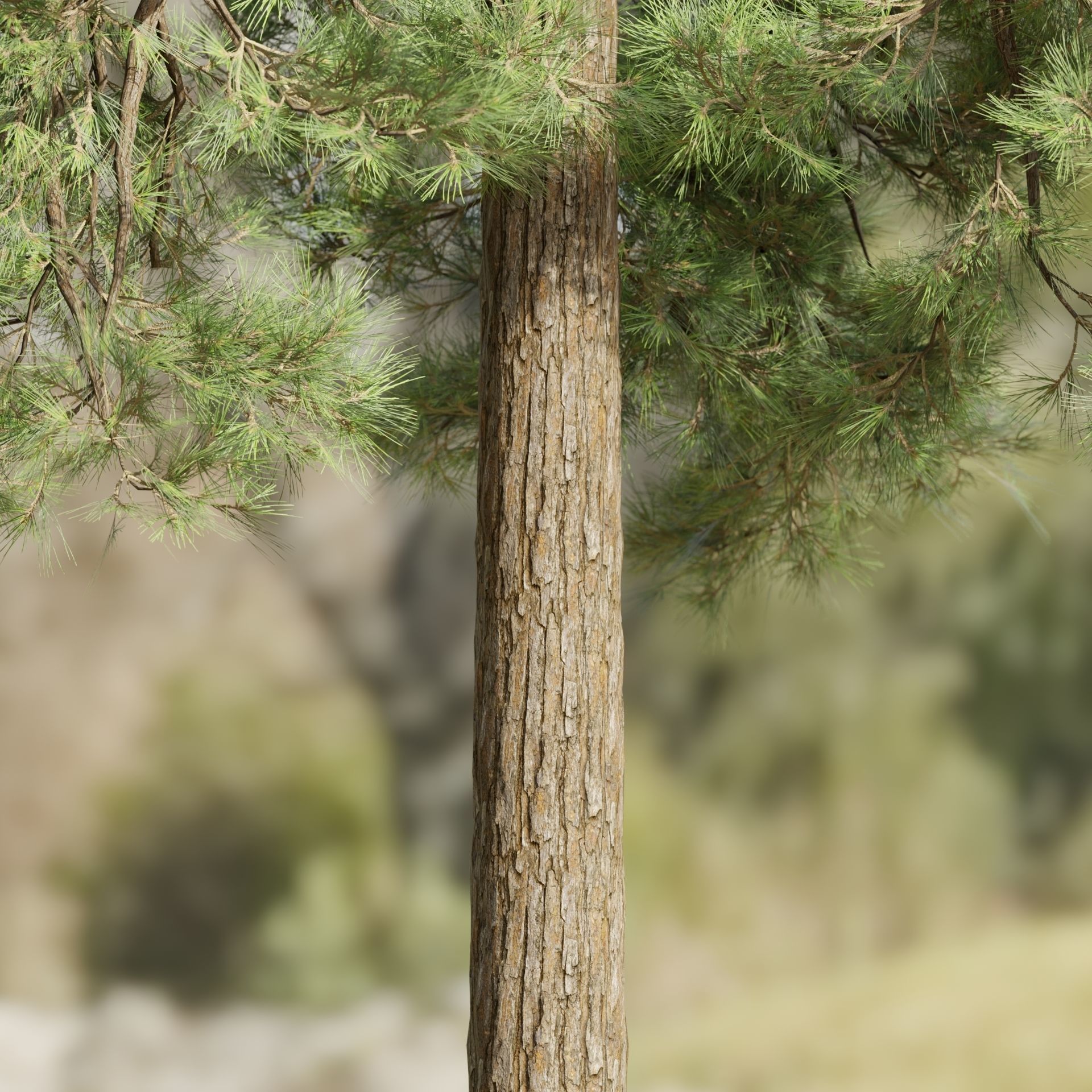 50 Tree Models Collection-Blender 3D model_13