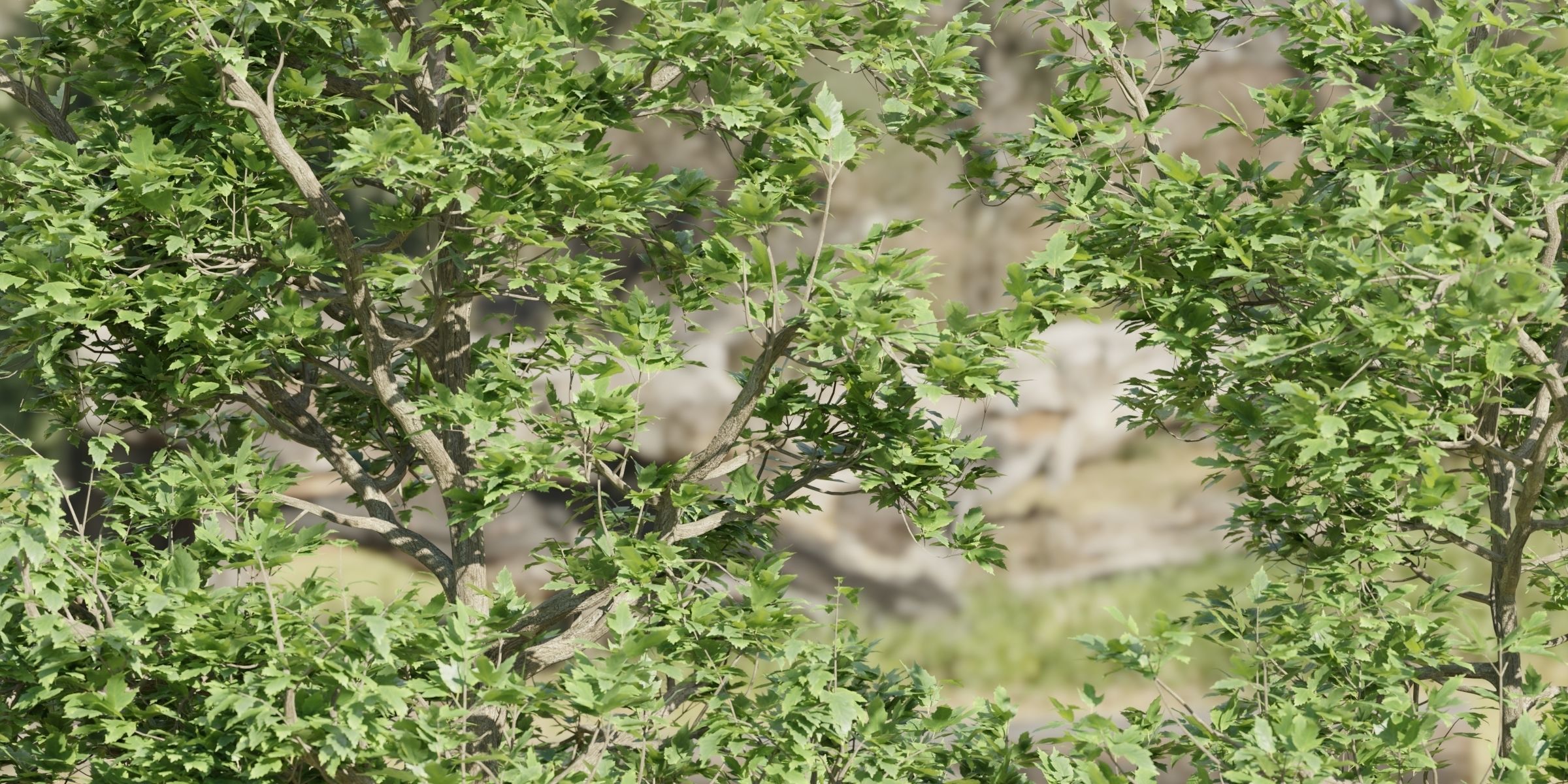 50 Tree Models Collection-Blender 3D model_70