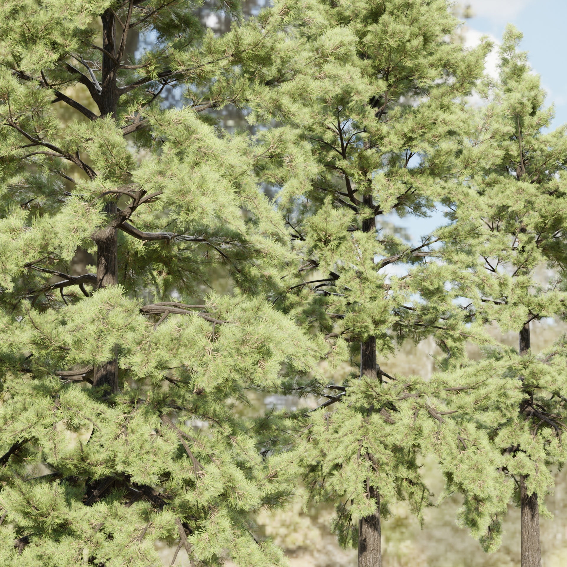 50 Tree Models Collection-Blender 3D model_61