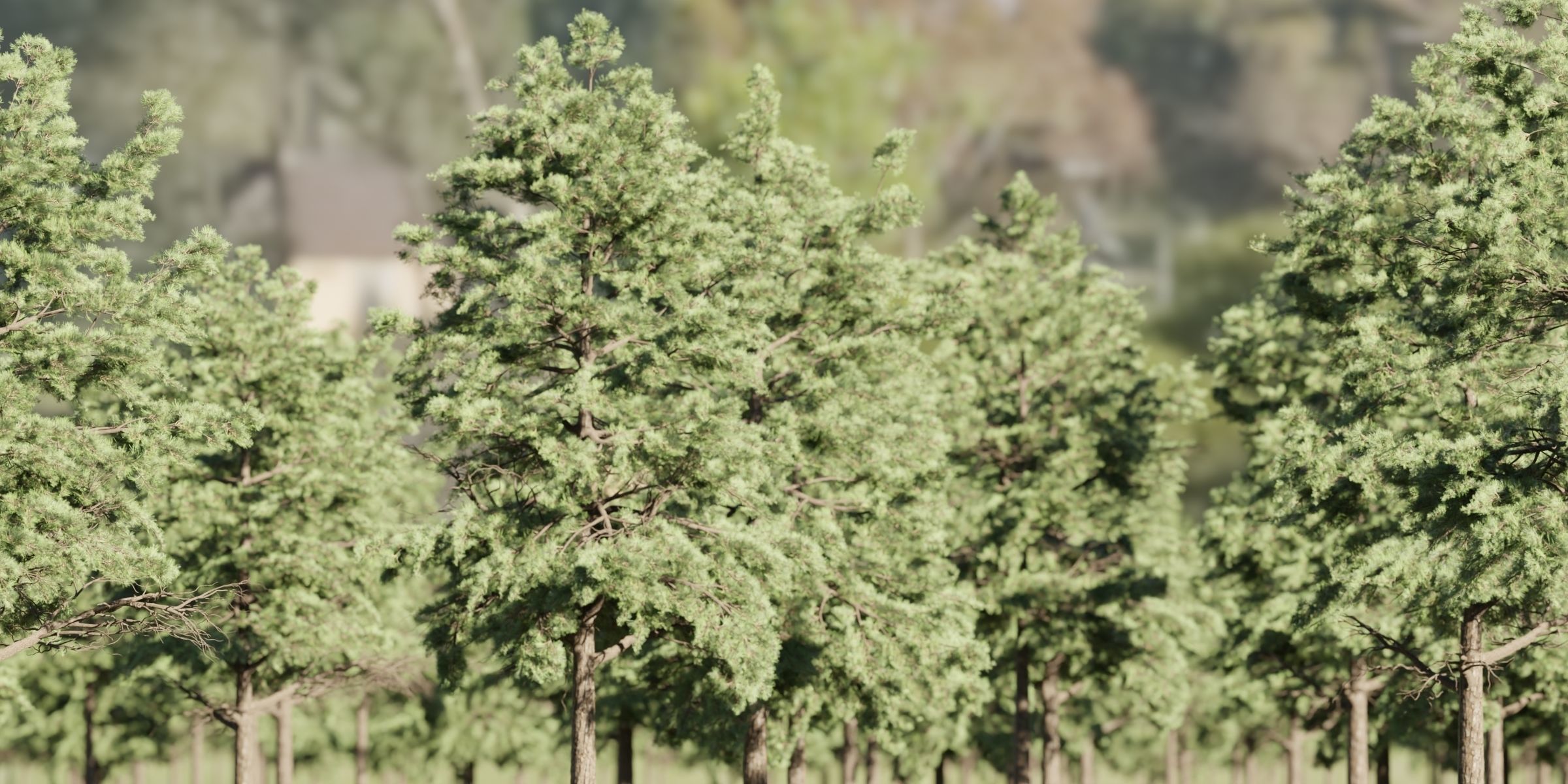 50 Tree Models Collection-Blender 3D model_68