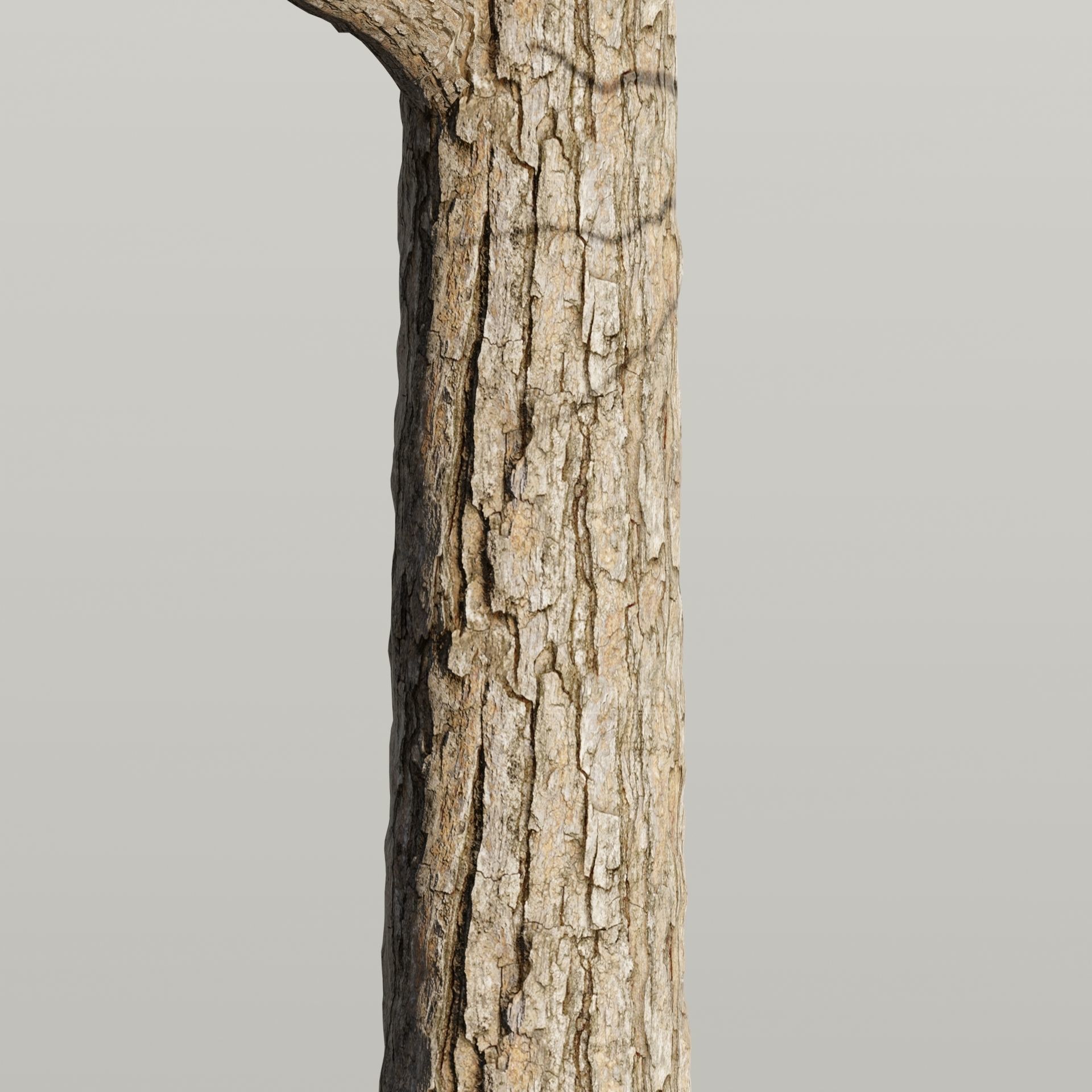 50 Tree Models Collection-Blender 3D model_64