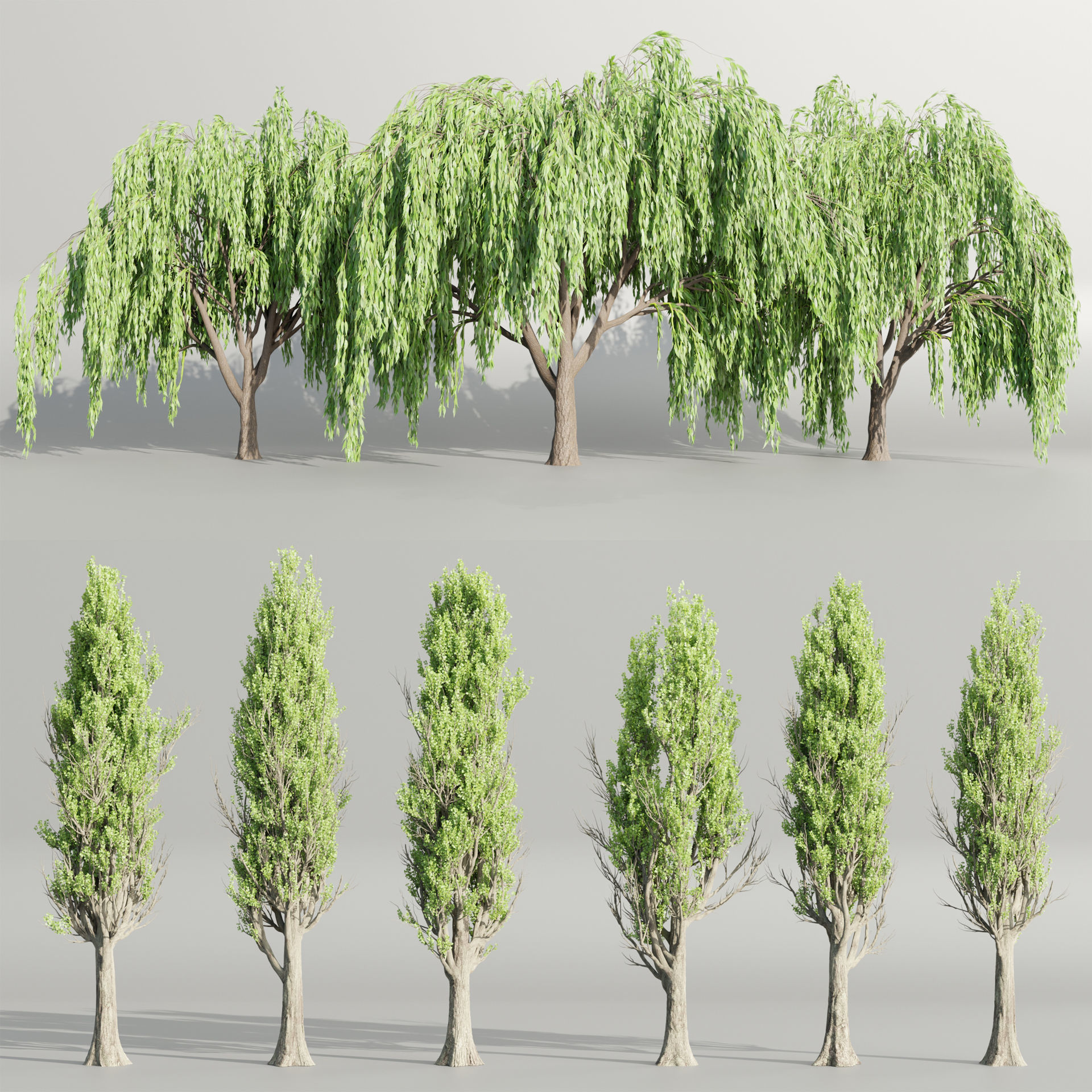 50 Tree Models Collection-Blender 3D model_3