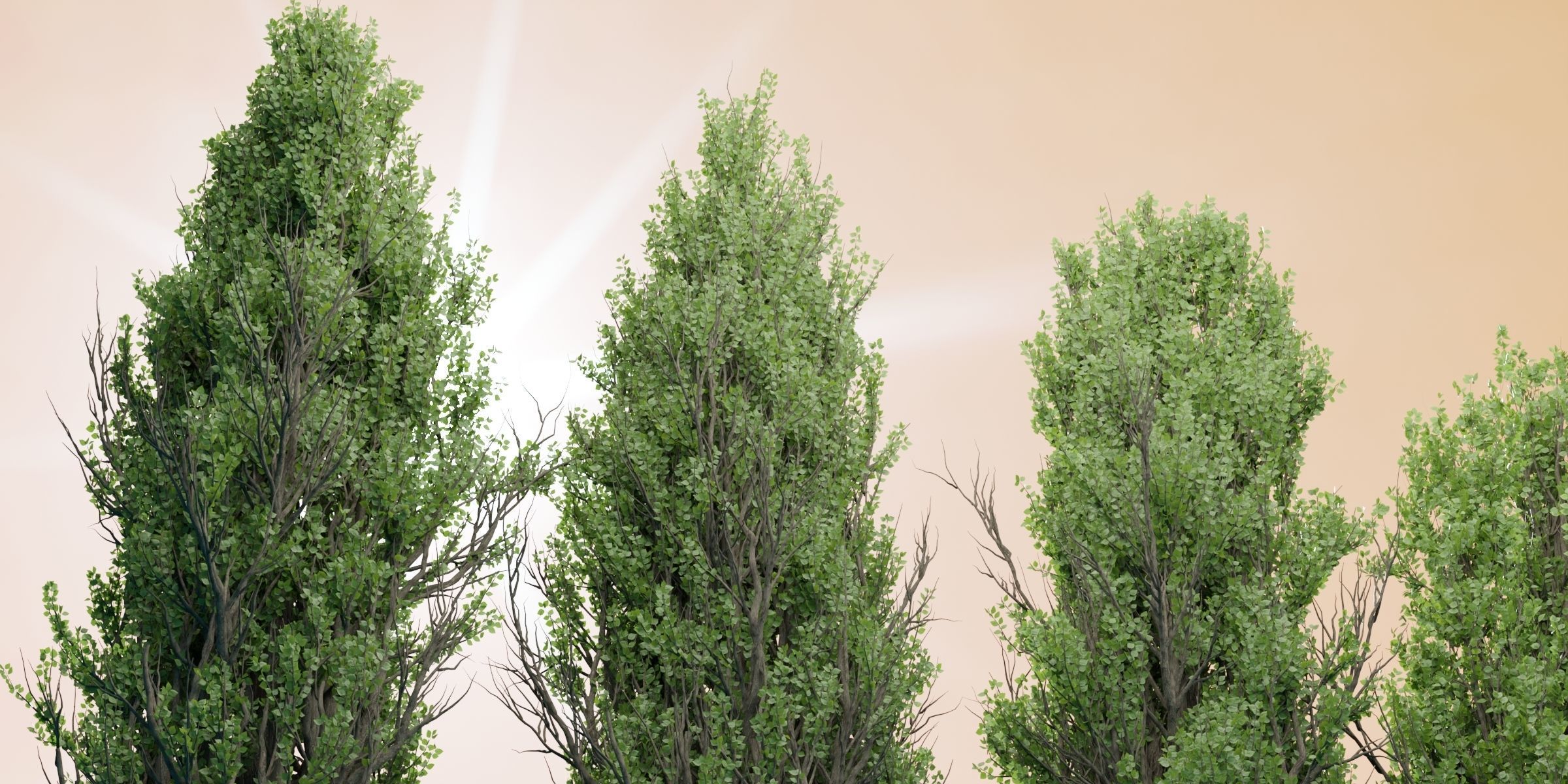 50 Tree Models Collection-Blender 3D model_62