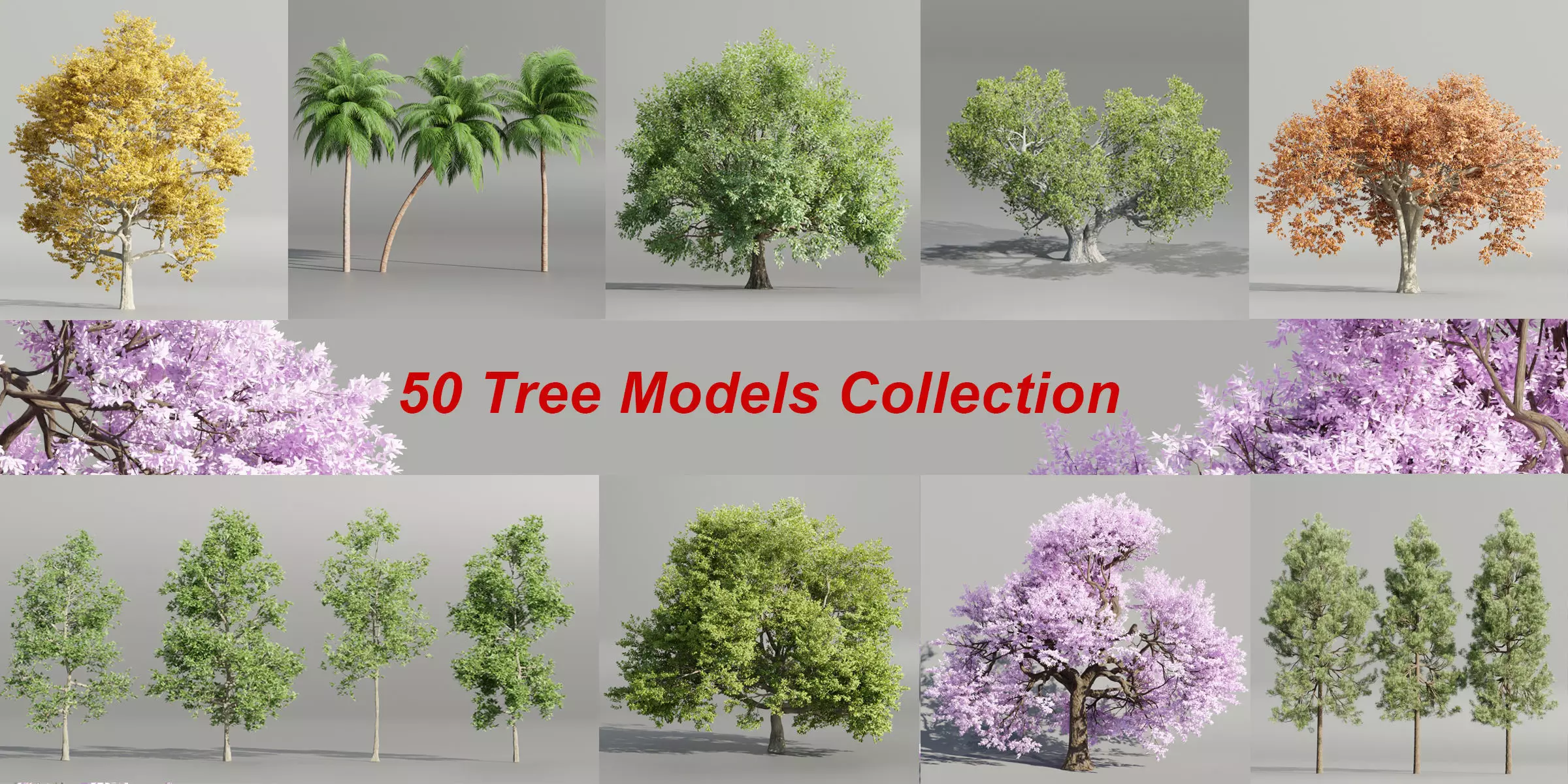 50 Tree Models Collection-Blender 3D model_0