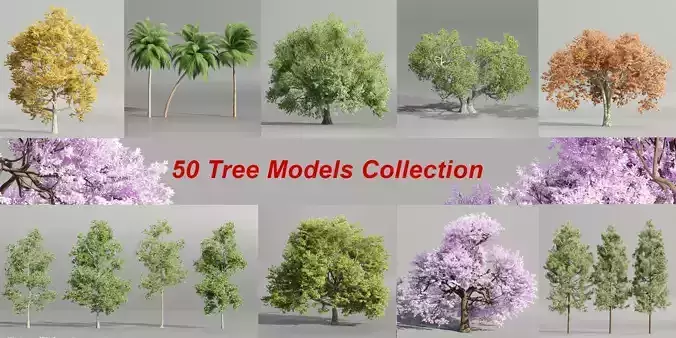50 Tree Models Collection-Blender 3D model