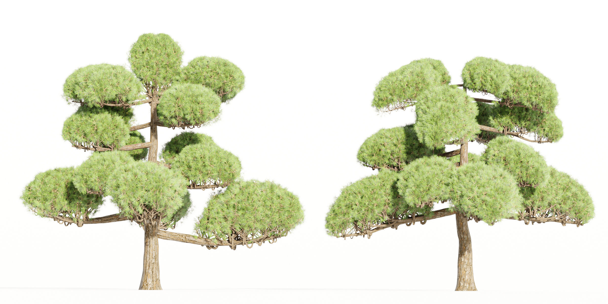 50 Tree Models Collection-Blender 3D model_30